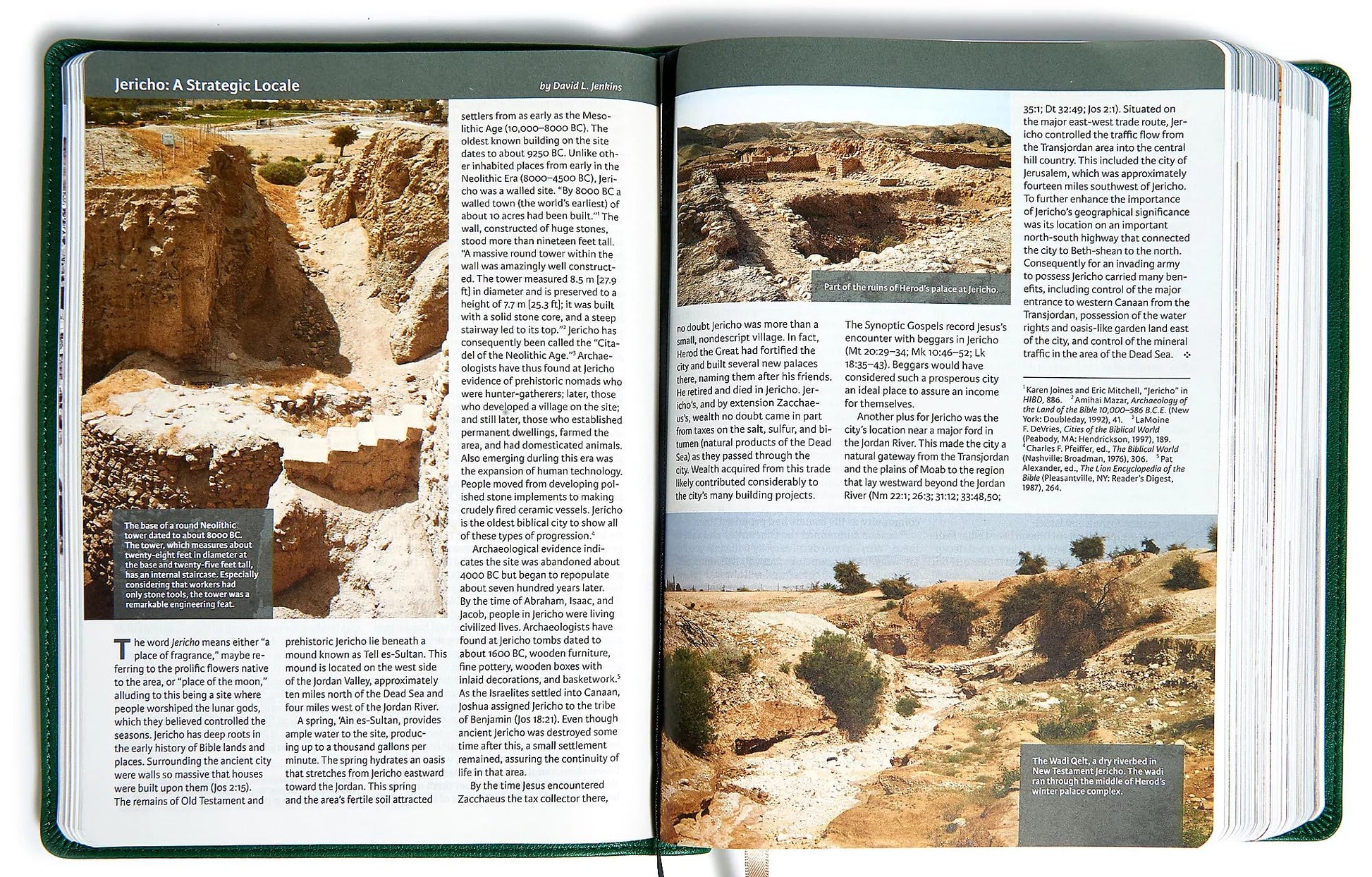 CSB Holy Land Illustrated Bible, Brown Leathertouch used book depot