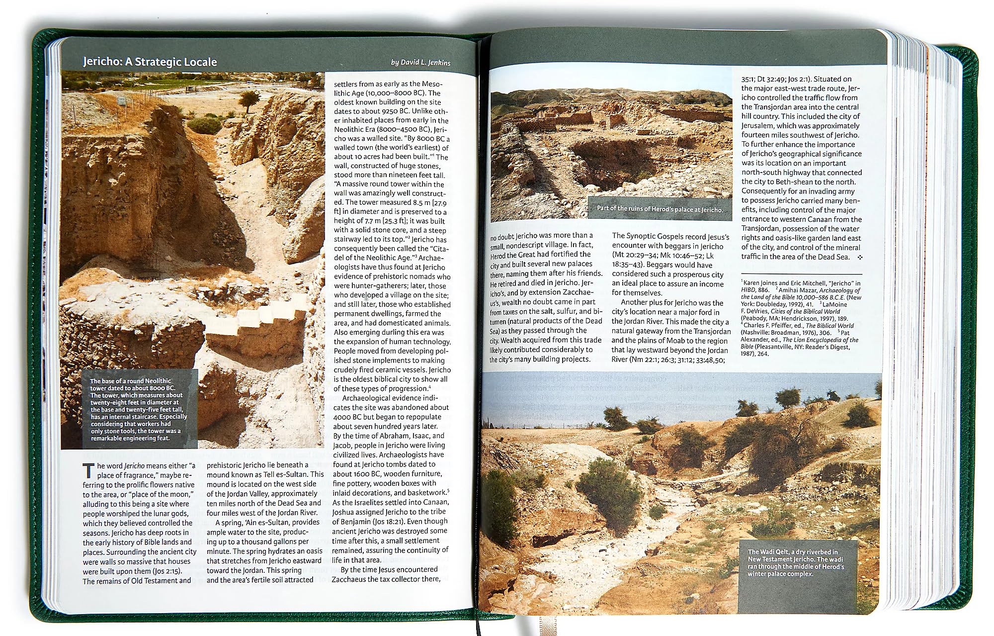 CSB Holy Land Illustrated Bible, Brown Leathertouch used book depot