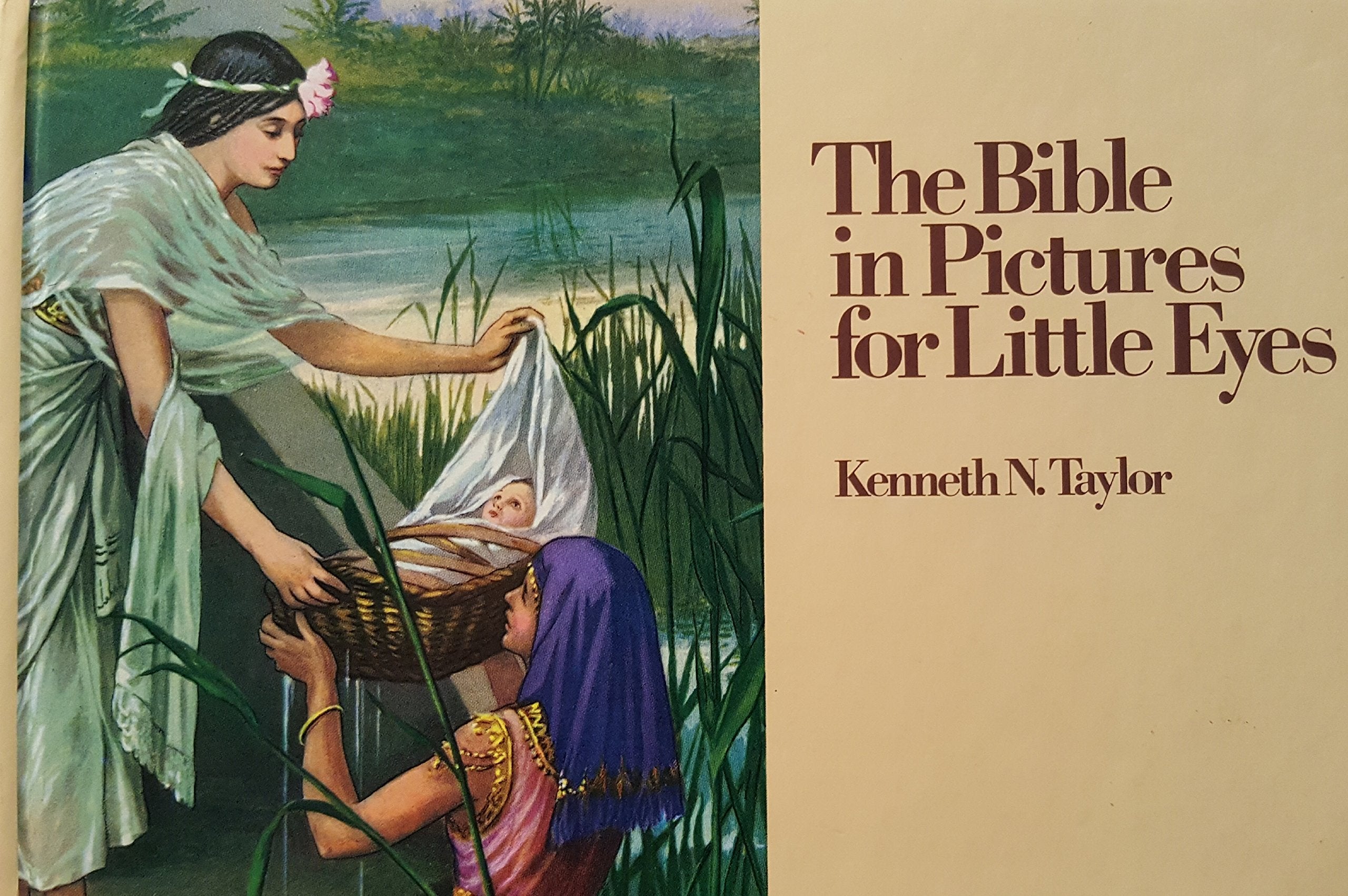 The Bible in Pictures for Little Eyes used book depot
