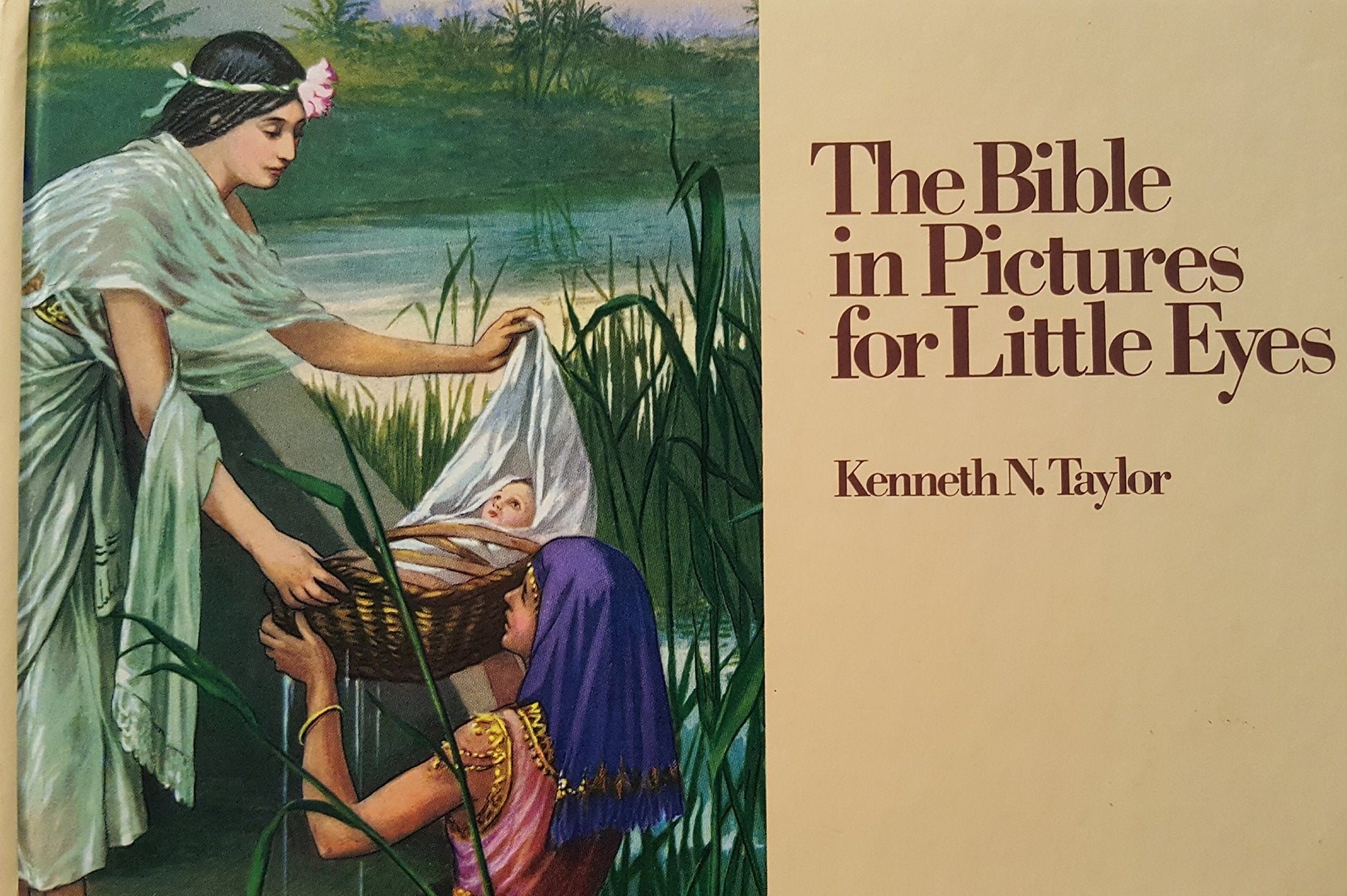 The Bible in Pictures for Little Eyes used book depot