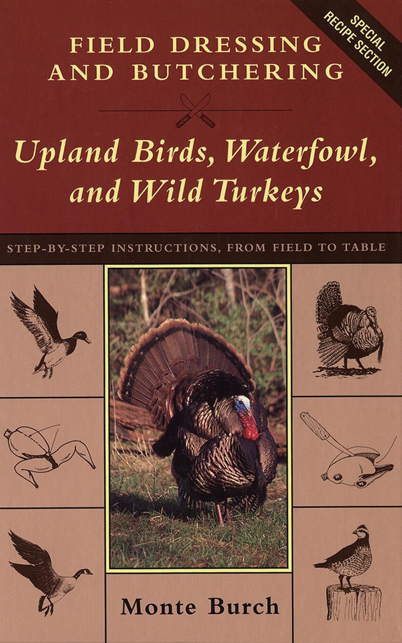 Field Dressing and Butchering Upland Birds, Waterfowl, and Wild Turkeys: Step-By-Step Instructions, from Field to Table used book depot
