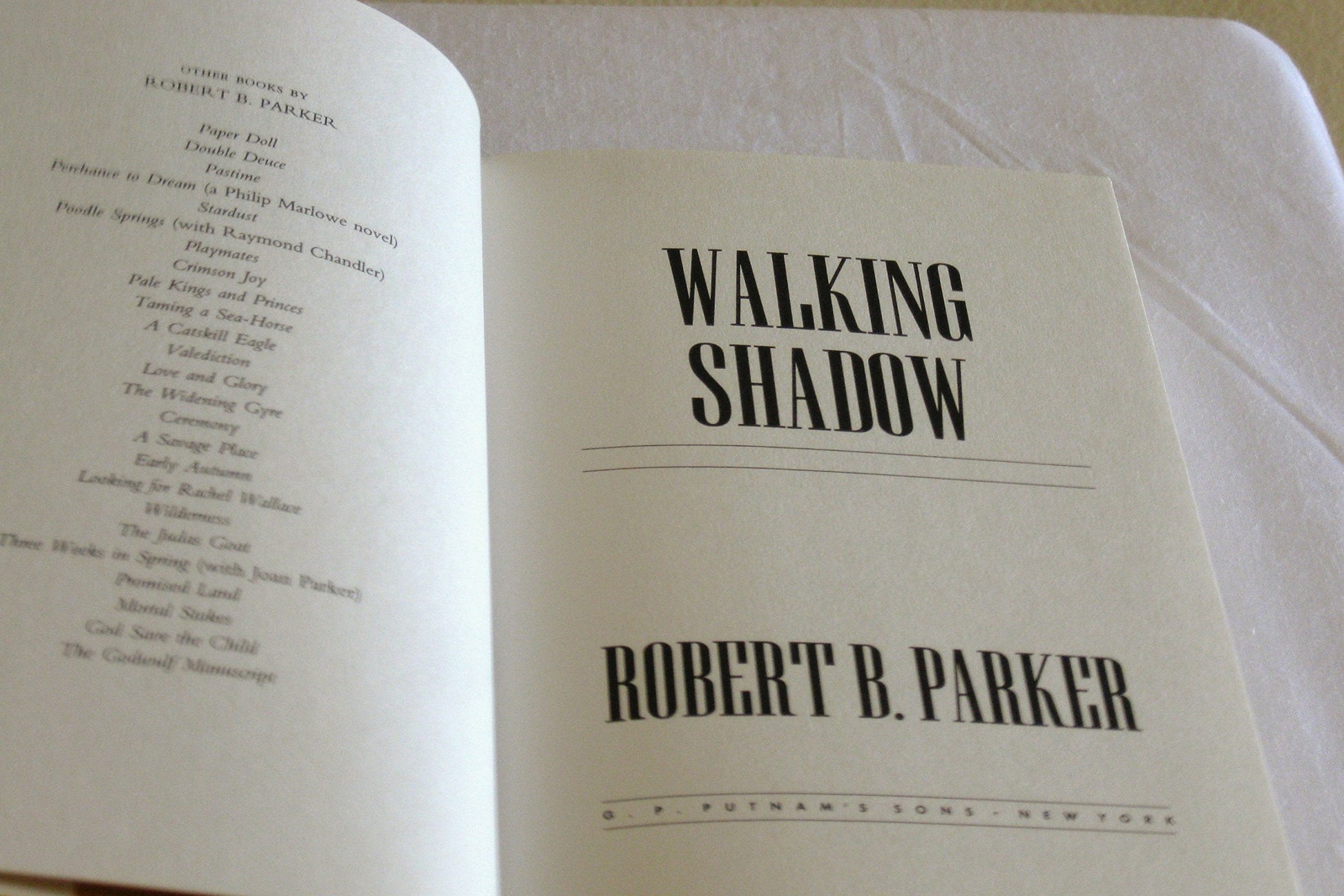 Walking Shadow used book depot