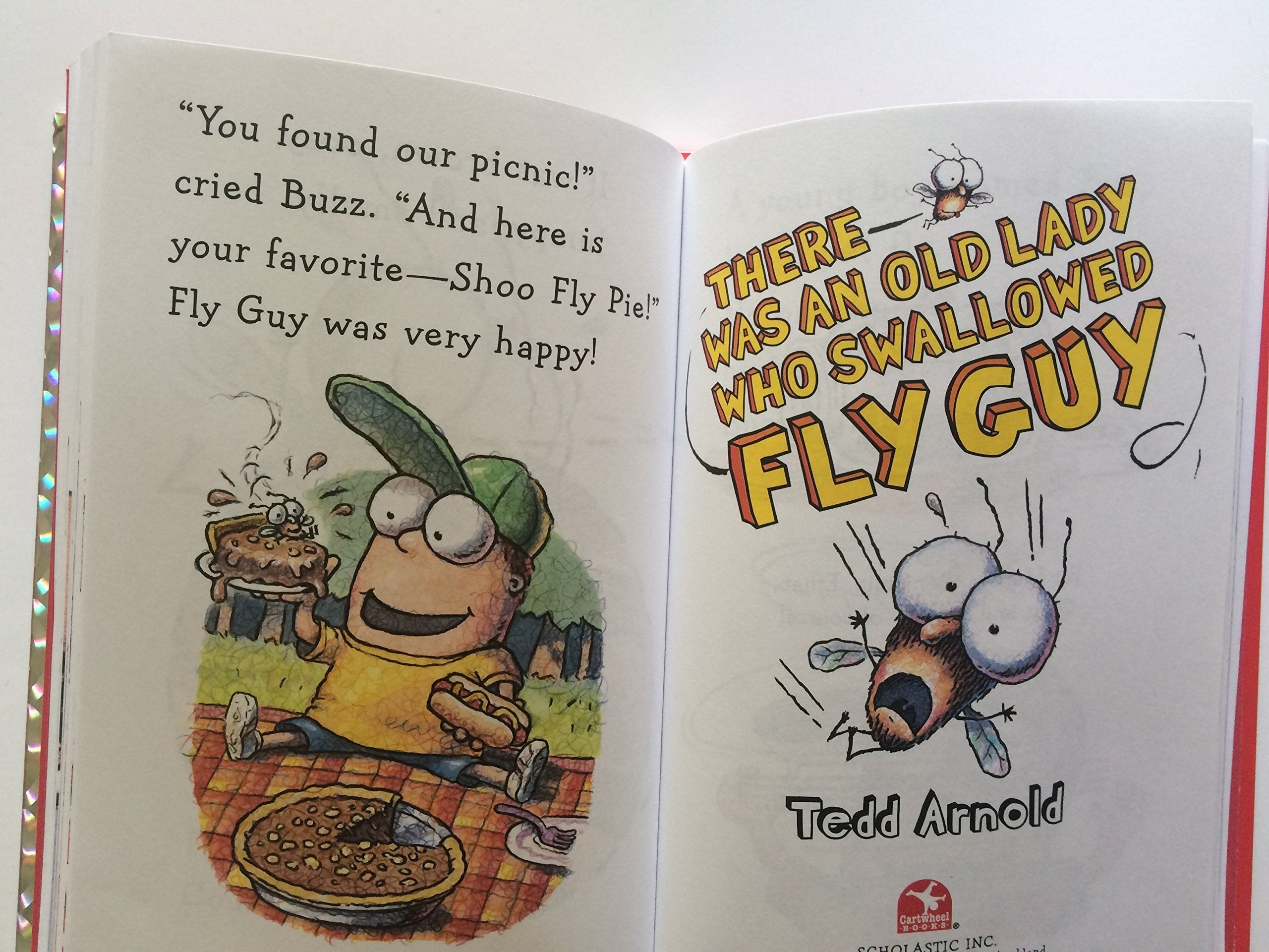 Fly Guy Reader Collection used book depot