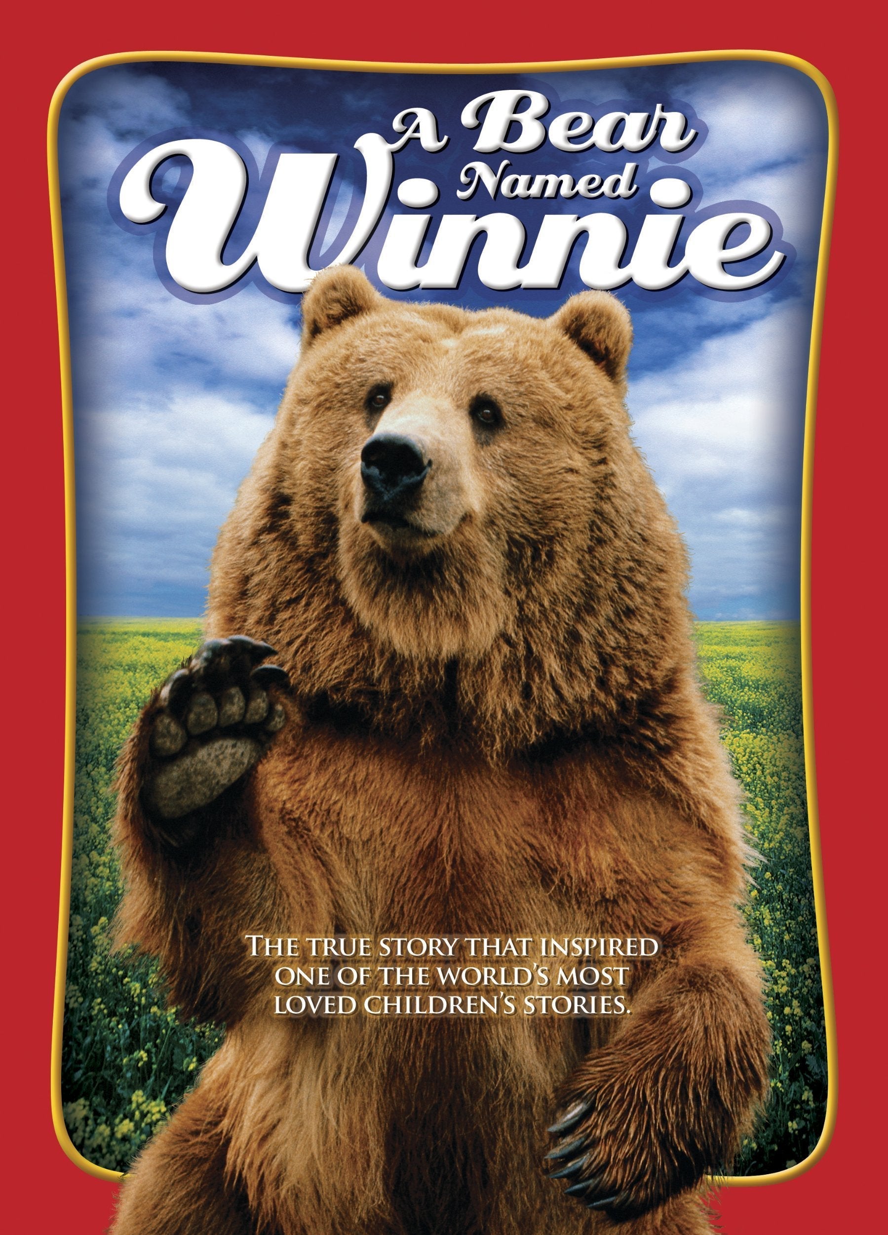 Bear Named Winnie used book depot