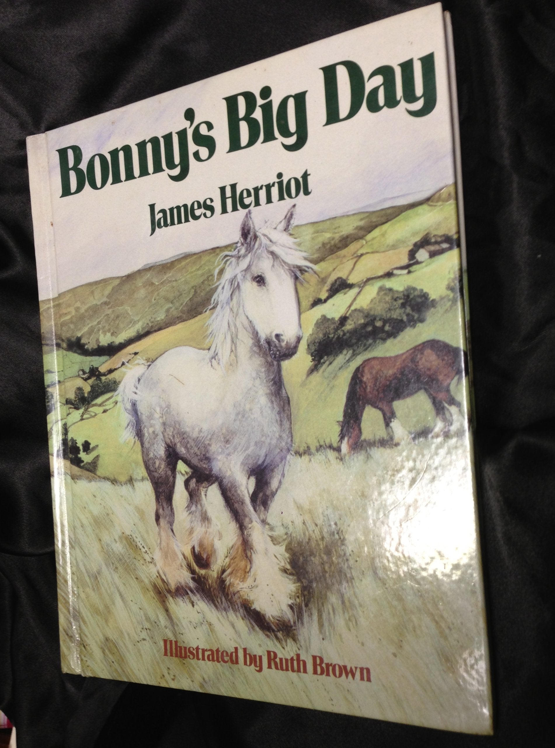 Bonny's Big Day used book depot