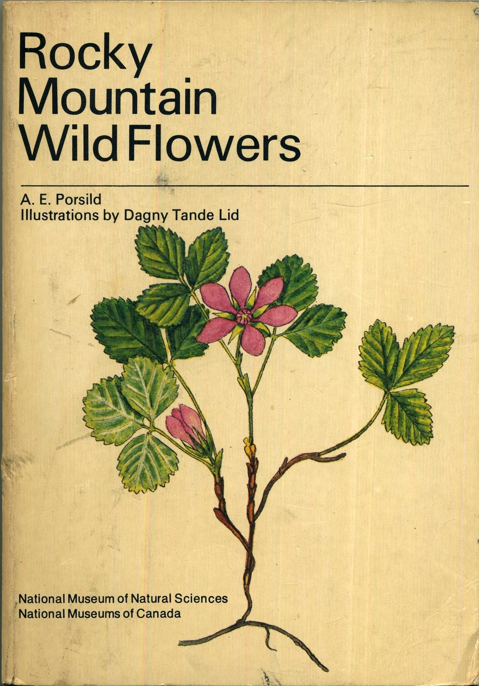 Rocky Mountain Wild Flowers used book depot