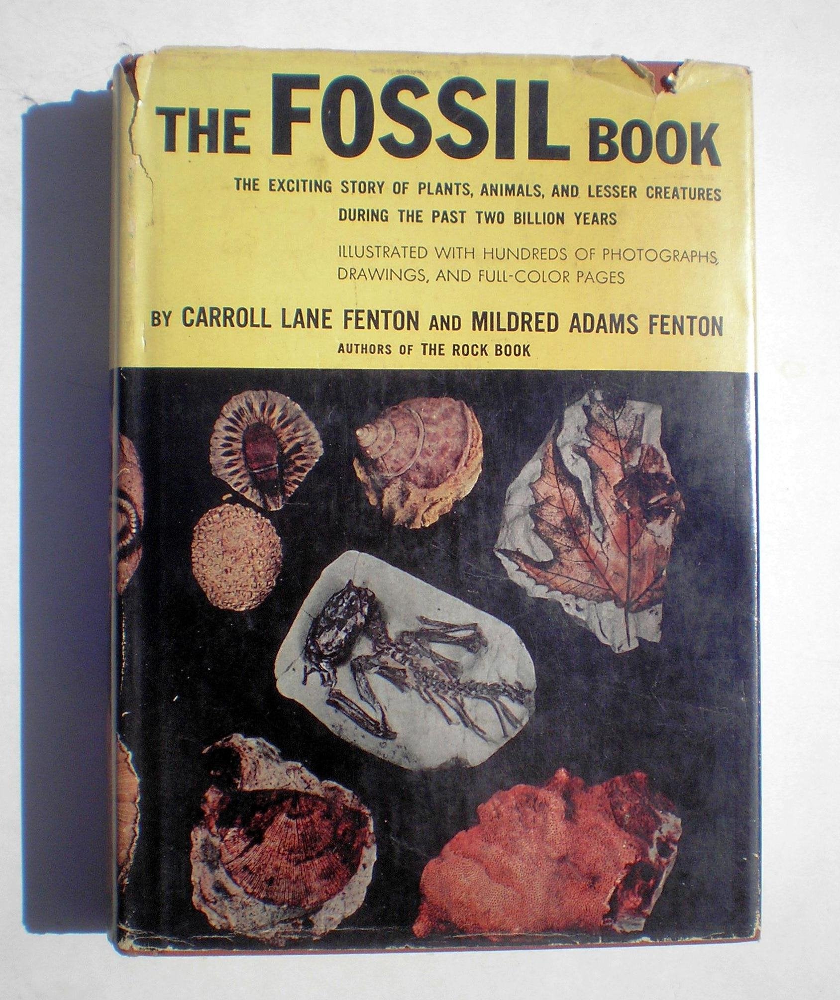 The Fossil Book: The Exciting Story of Plants, Animals, and Lesser Creatures During the Past Two Billion Years used book depot