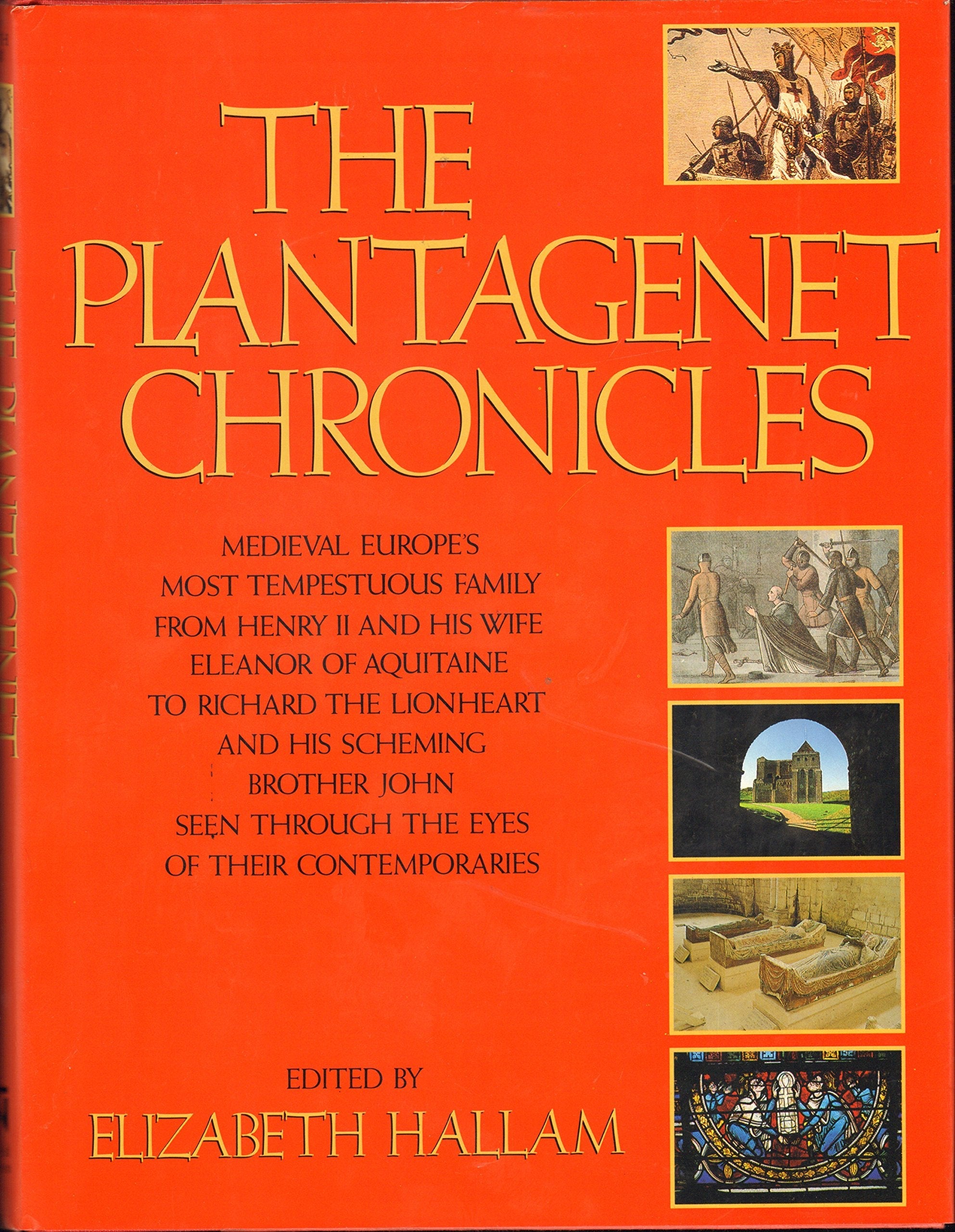 The Plantagenet Chronicles used book depot