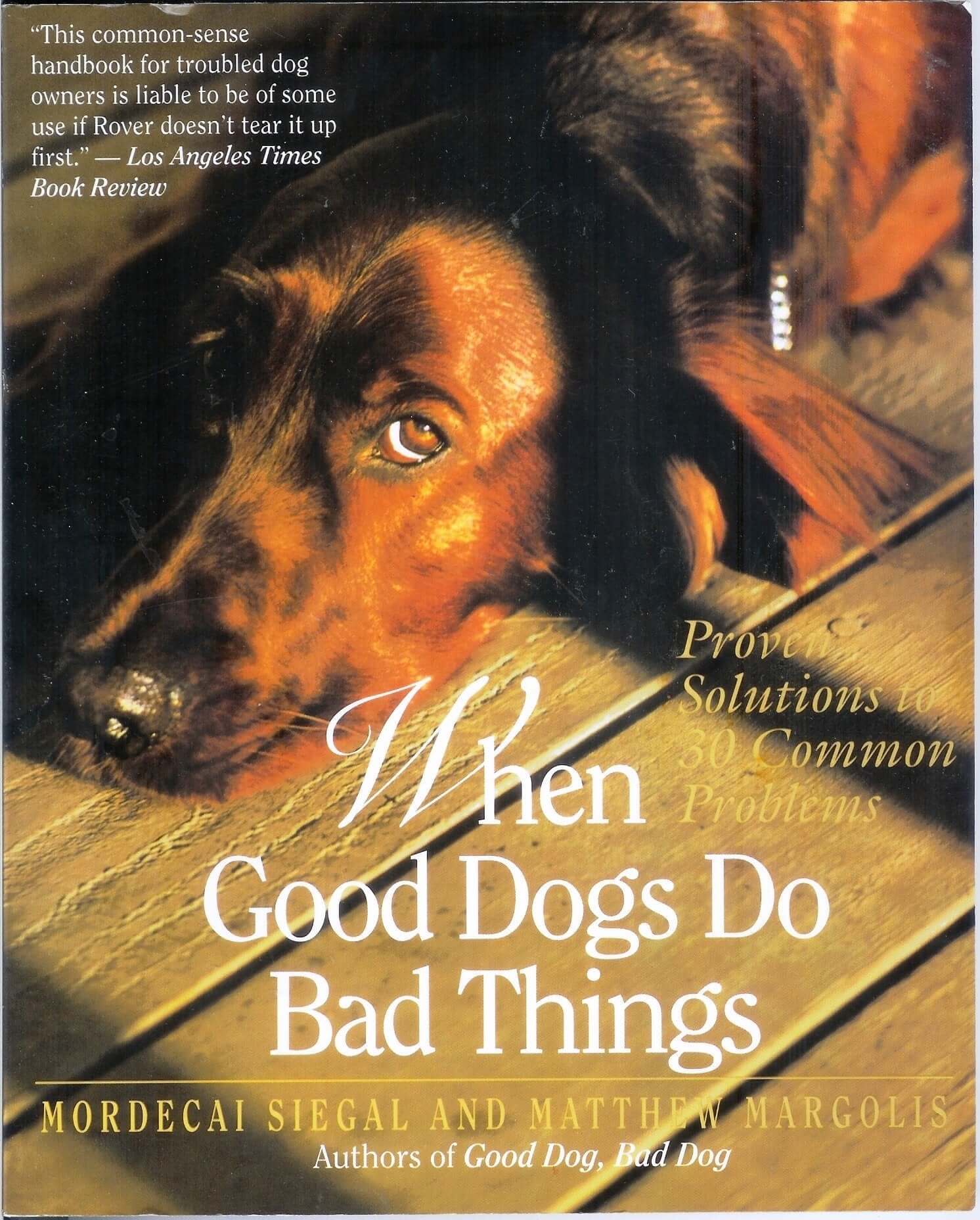 When Good Dogs Do Bad Things used book depot