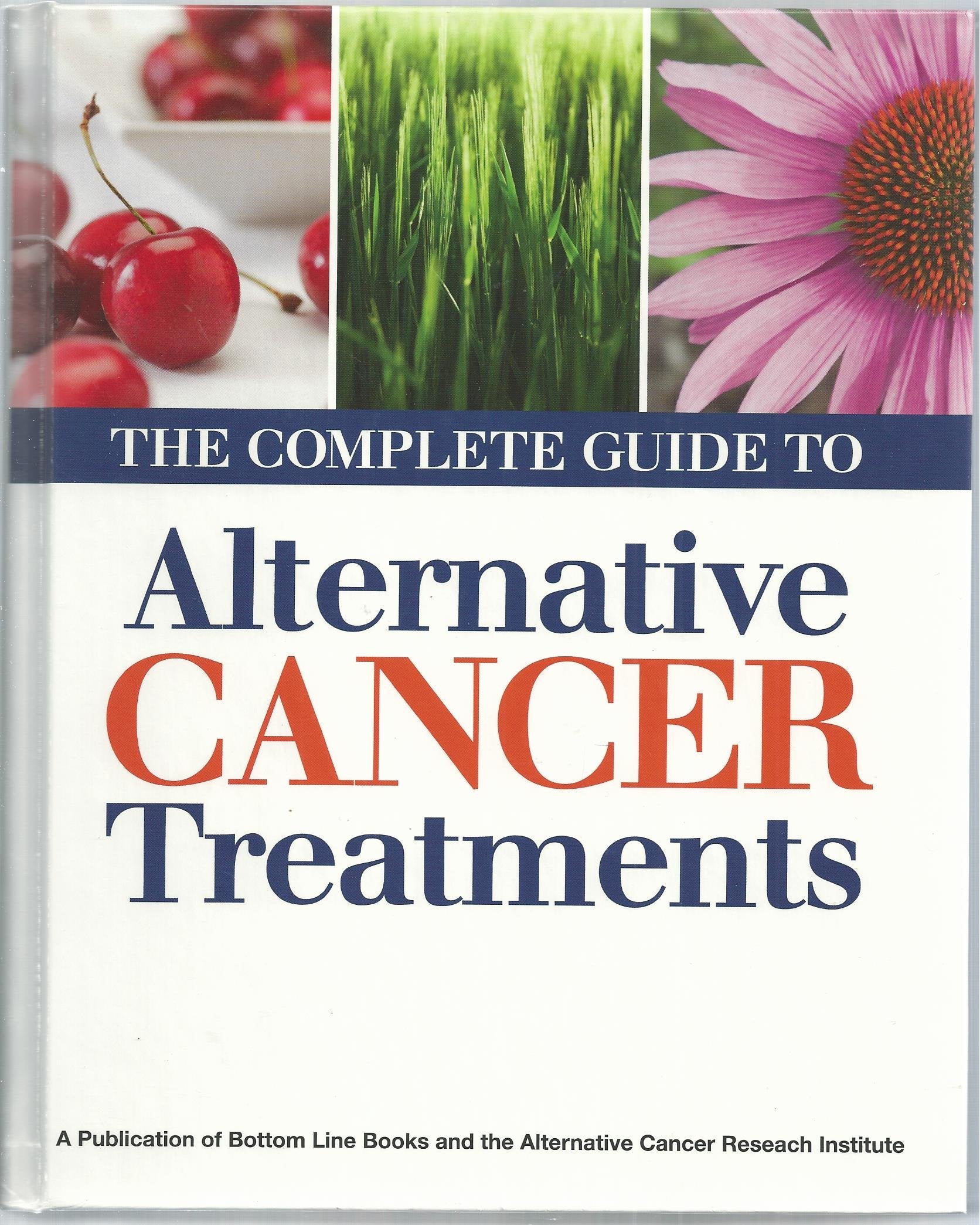 The Complete Guide to Alternative Cancer Treatments used book depot