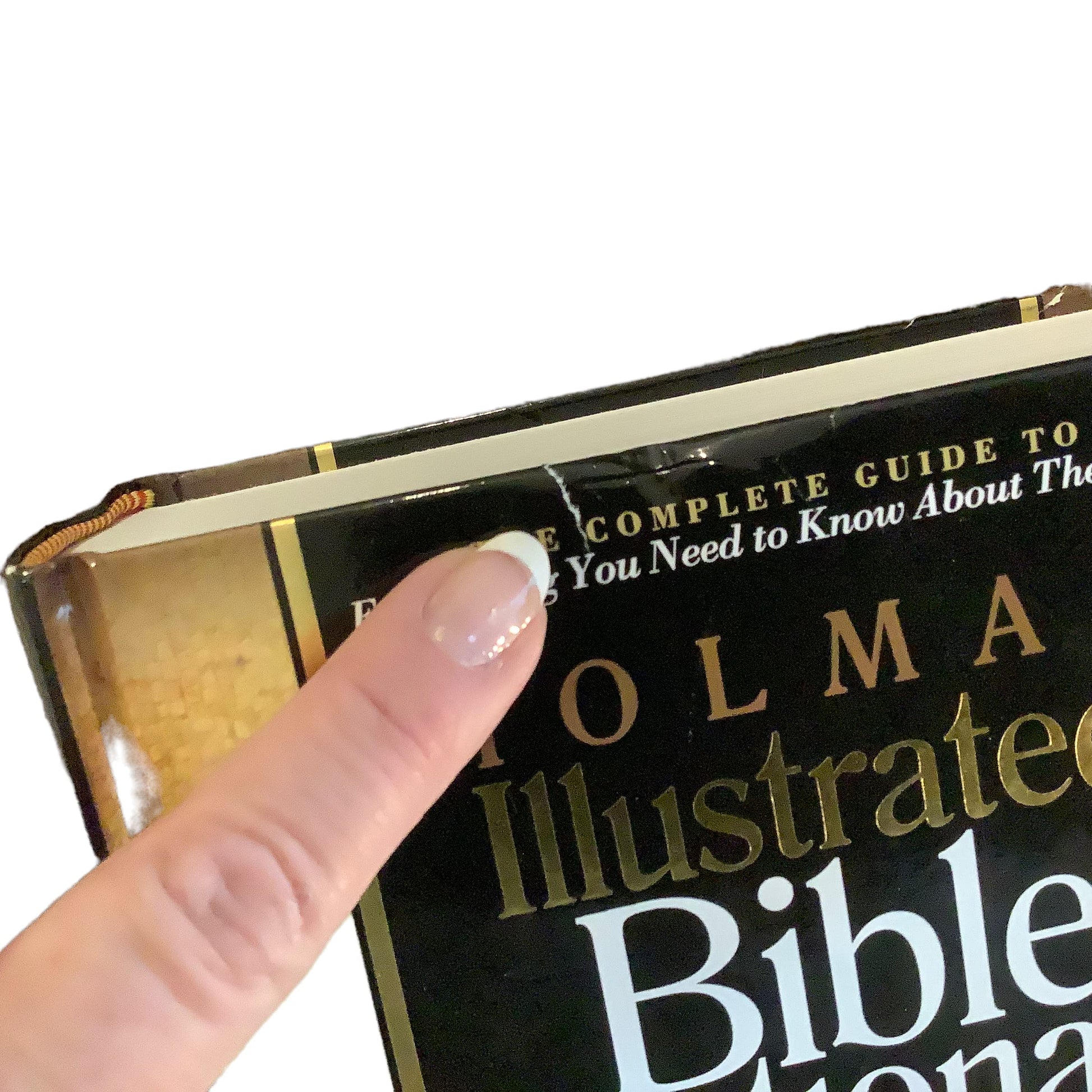 Holman Illustrated Bible Dictionary used book depot