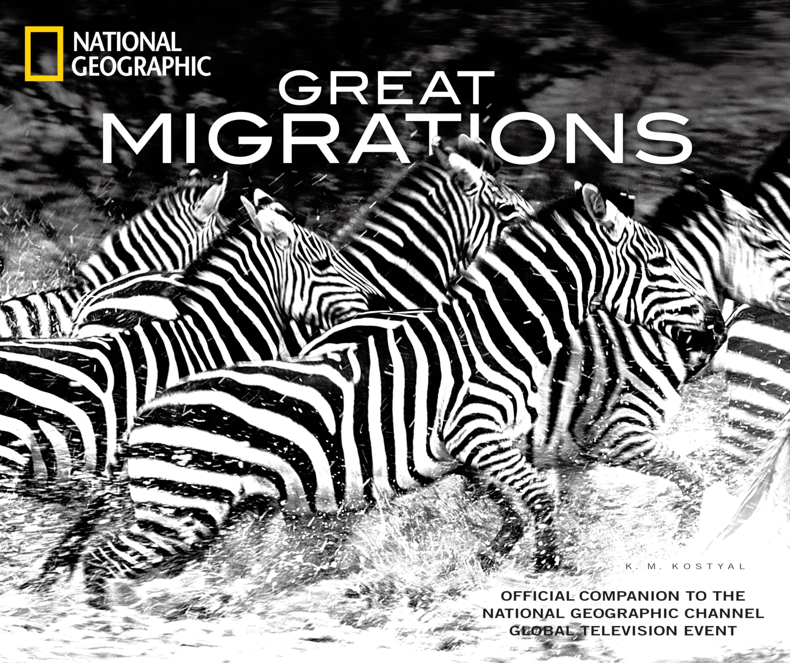 Great Migrations: Official Companion to the National Geographic Channel Global Television Event used book depot