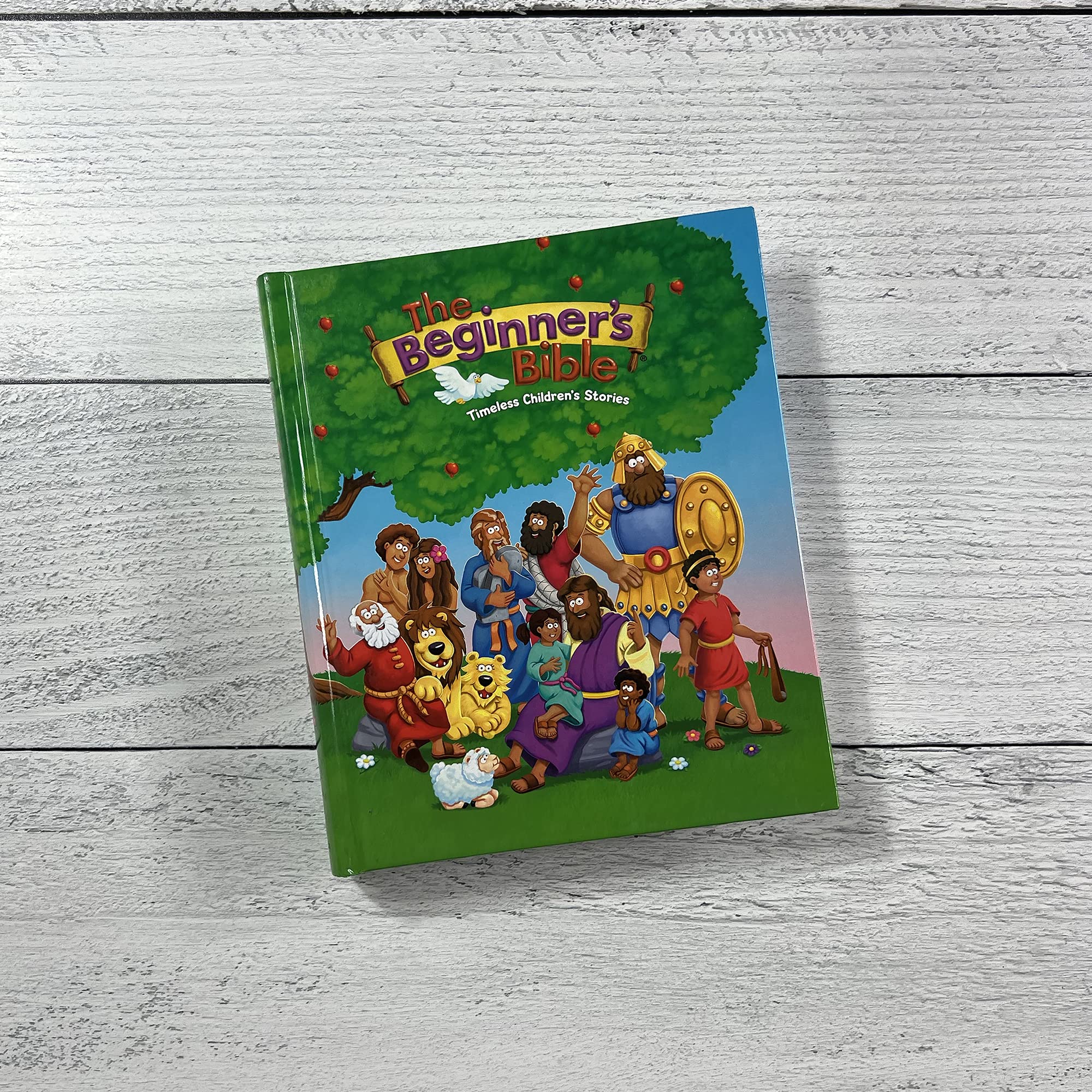 The Beginner's Bible: Timeless Children's Stories used book depot