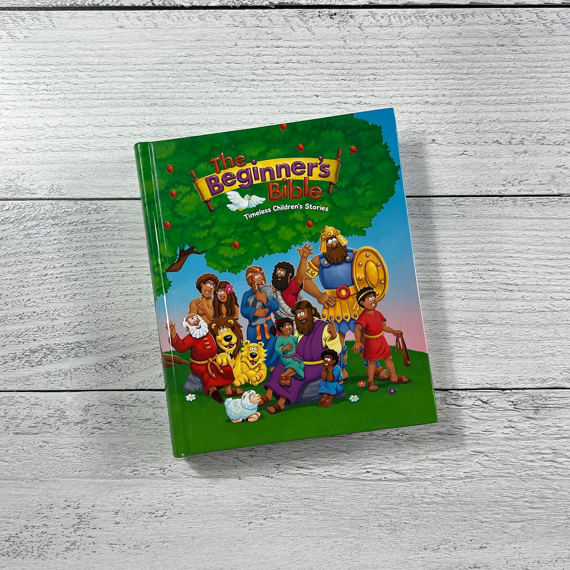 The Beginner's Bible: Timeless Children's Stories used book depot