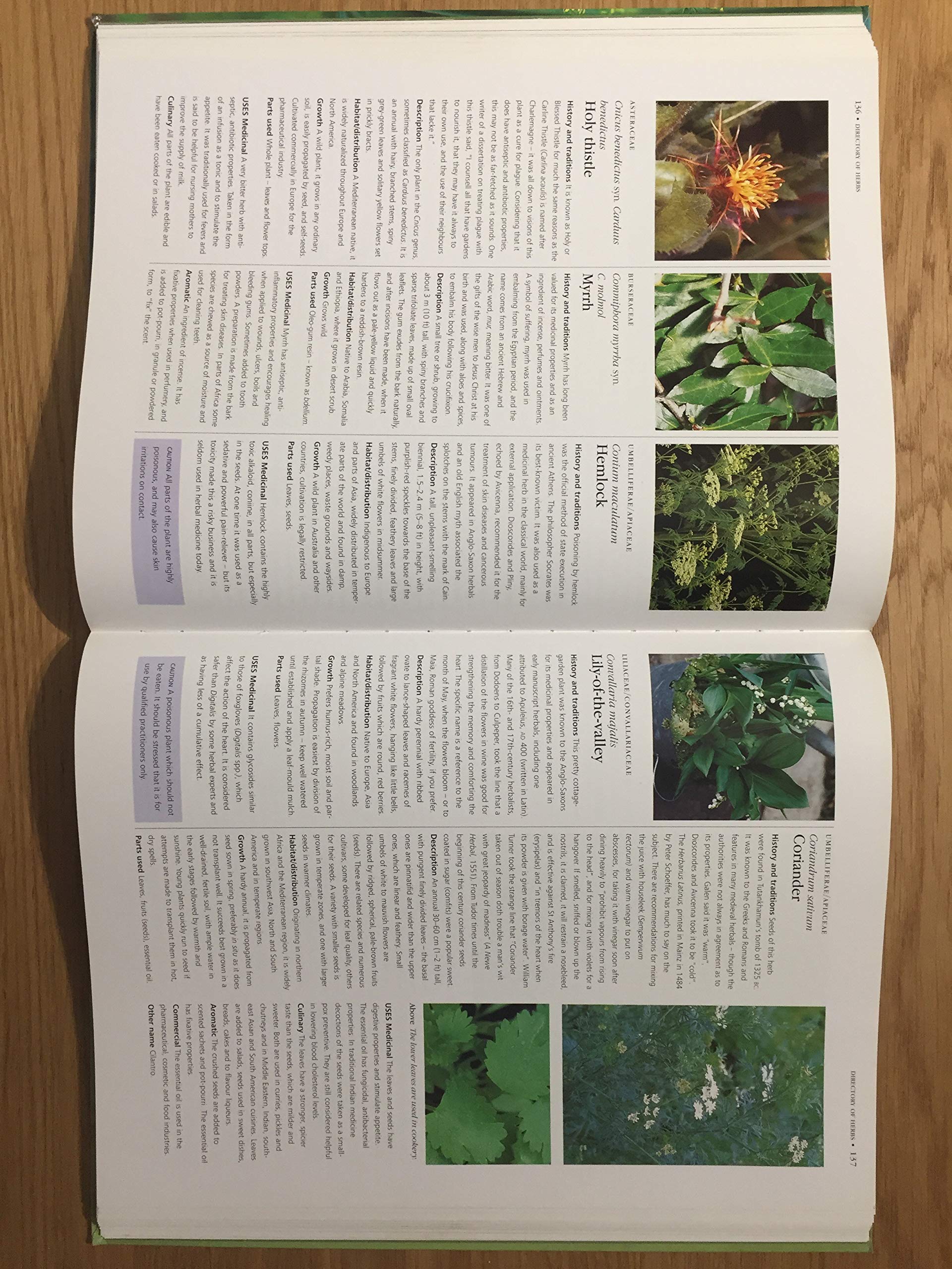 Practical Herb Garden: A Comprehensive A-Z Directory and Gardener's Guide to Growing Herbs Successfully used book depot