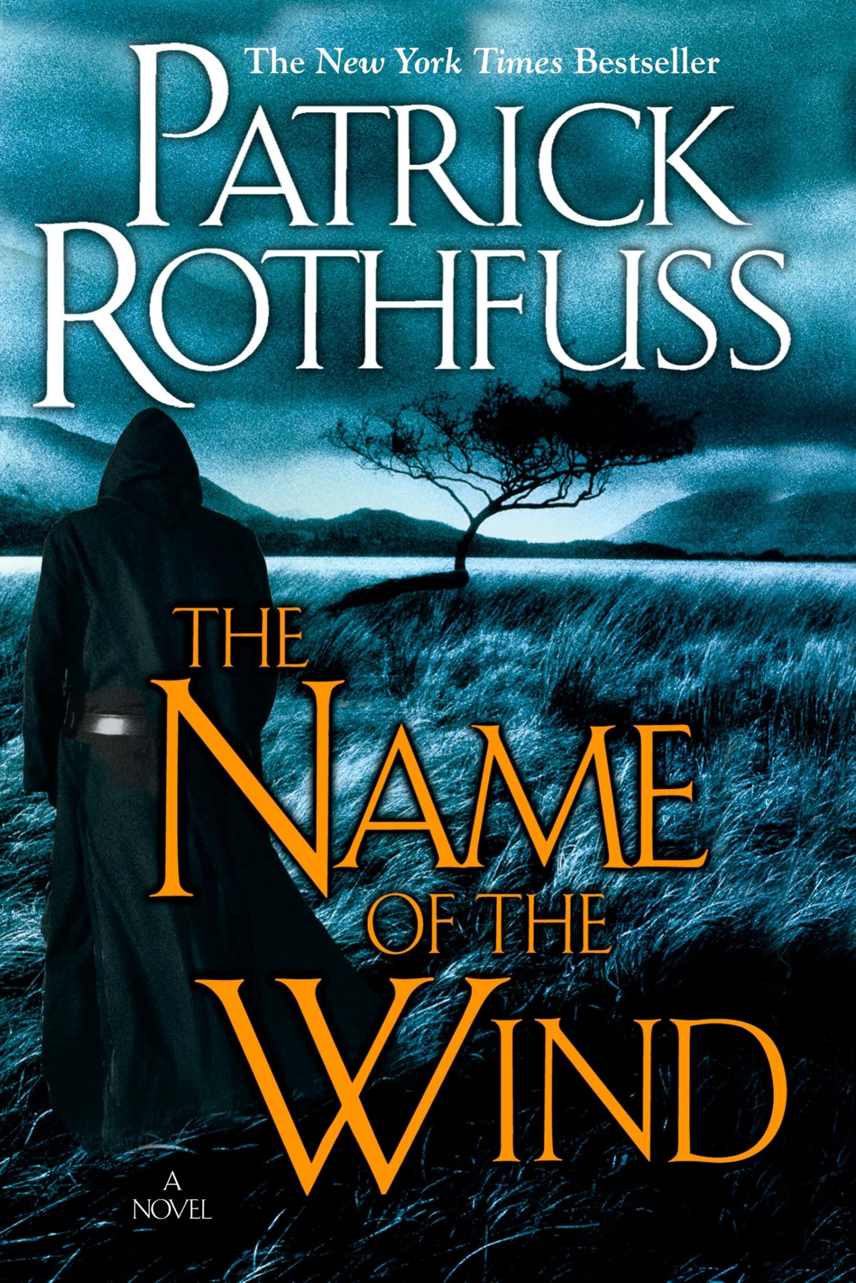 The Name of the Wind used book depot