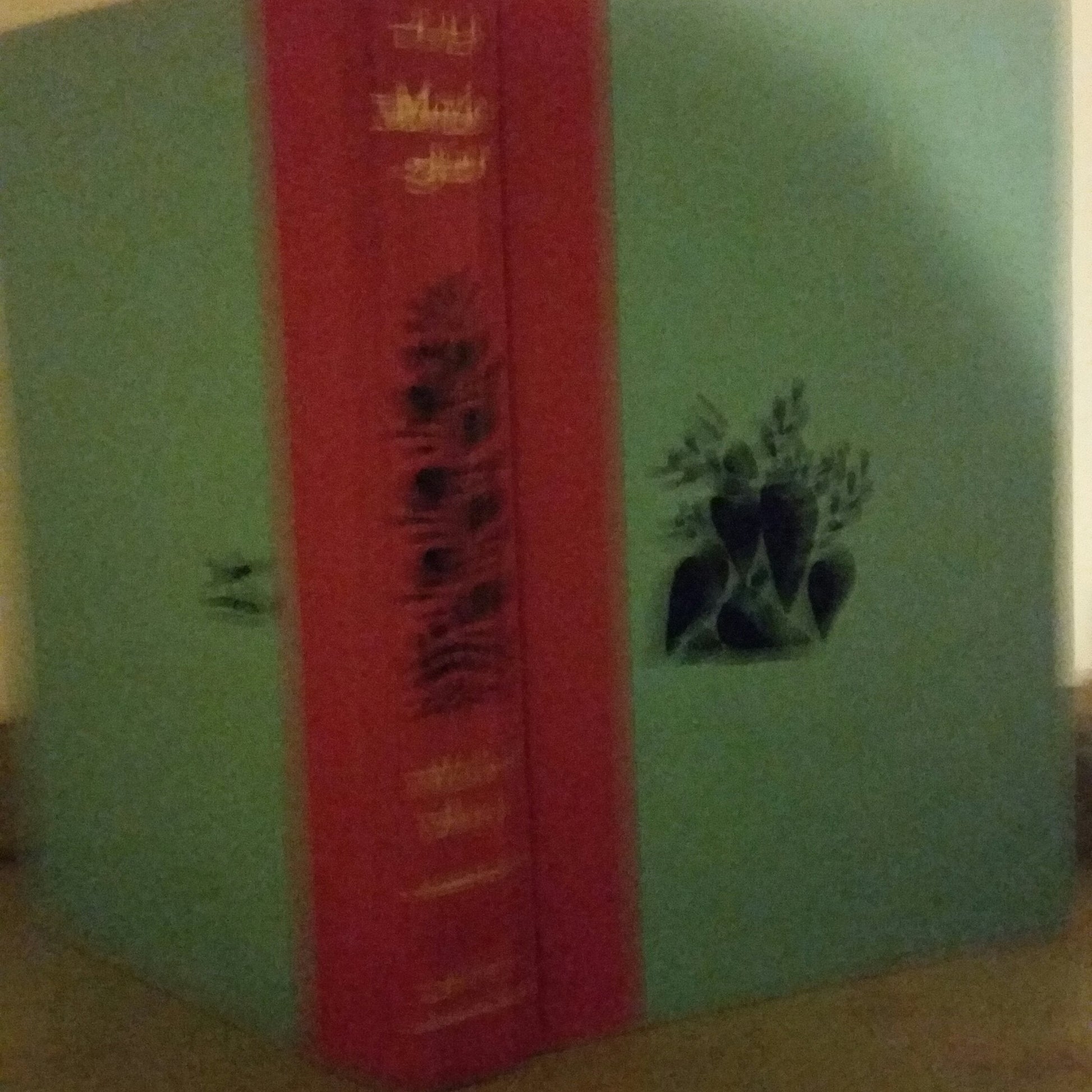 The Moviegoer used book depot