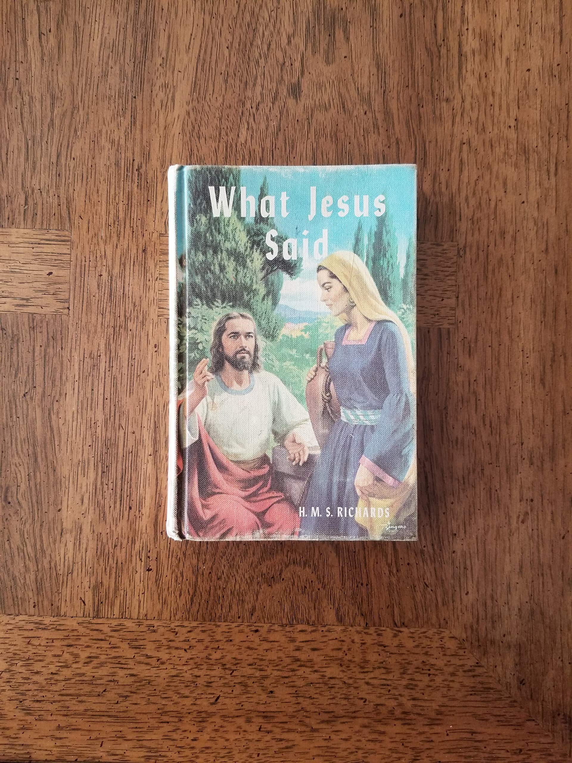 What Jesus said used book depot