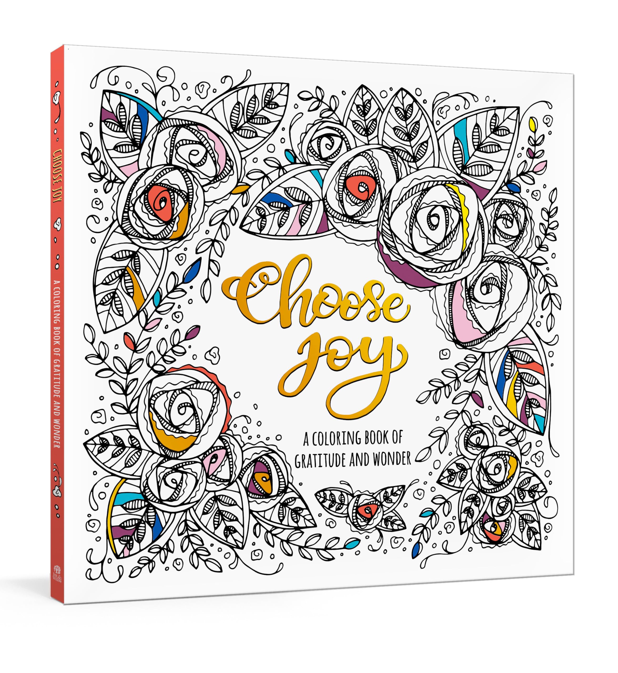 Choose Joy: A Coloring Book of Gratitude and Wonder used book depot