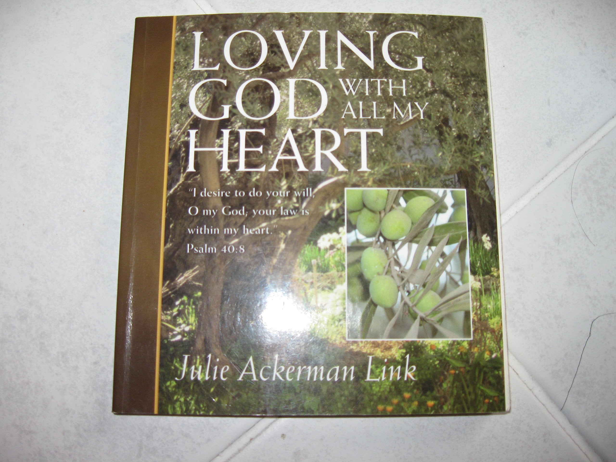 Loving God With All My Heart used book depot
