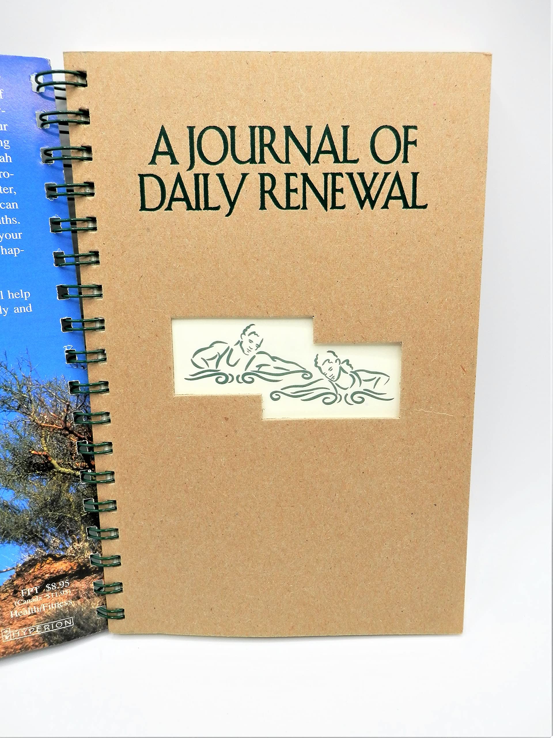 The Journal of Daily Renewal: The Companion to Make the Connection used book depot