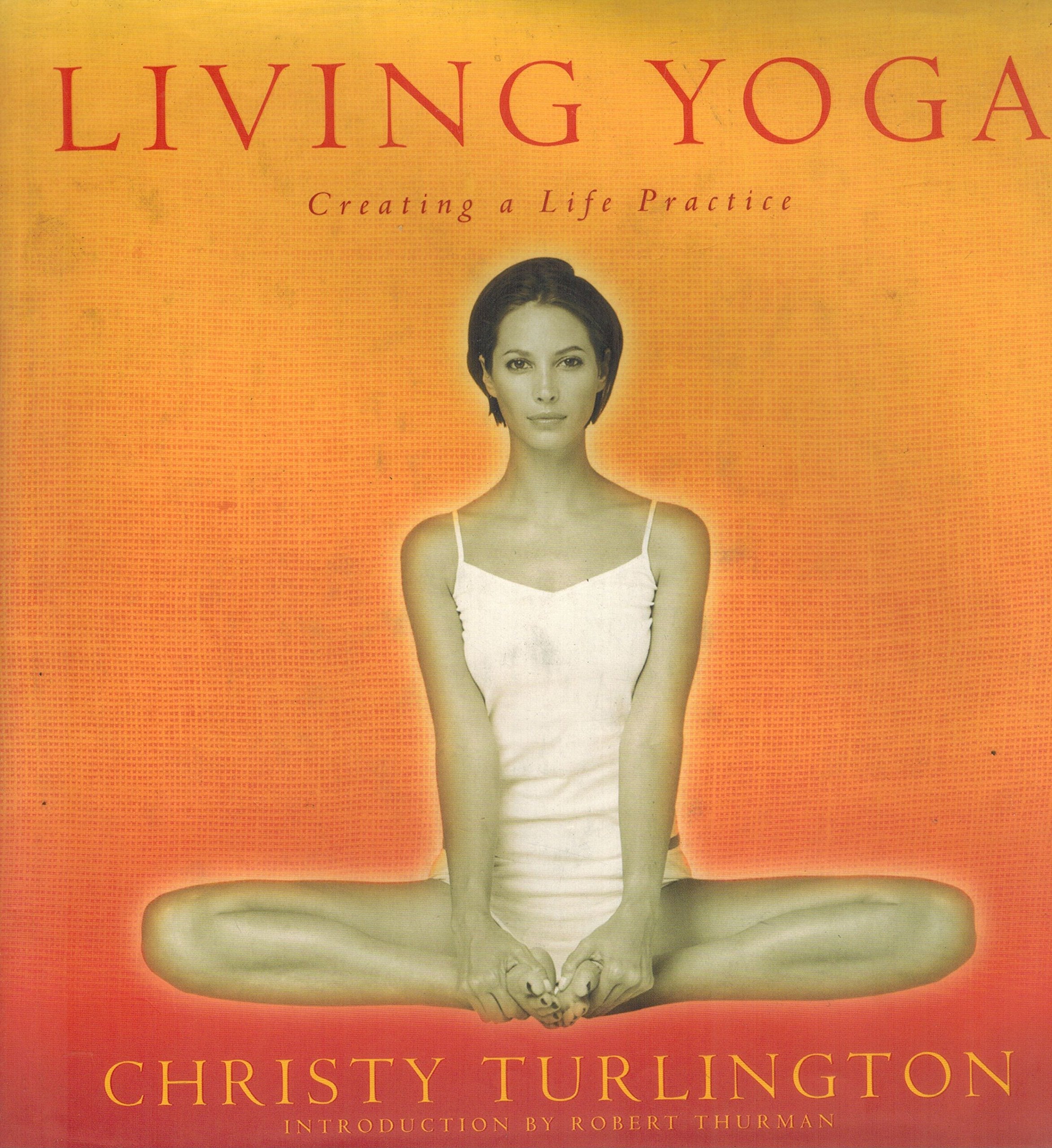 Living Yoga: Creating a Life Practice used book depot