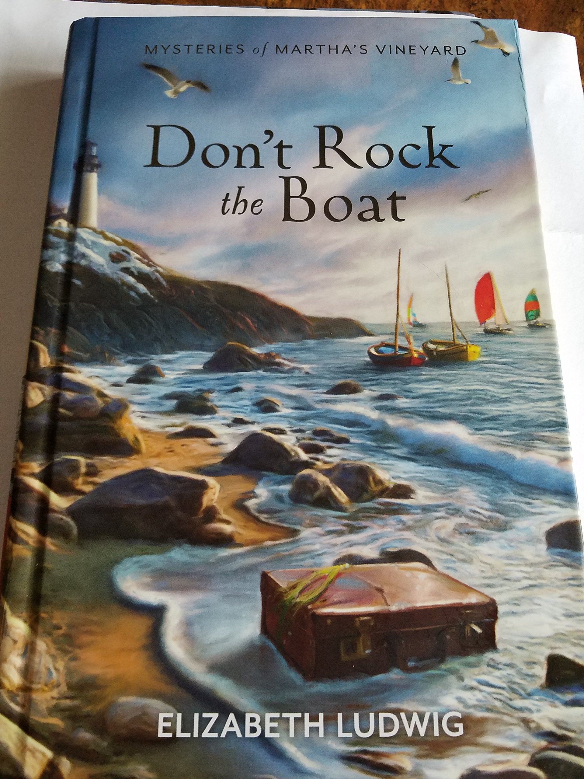 Dont Rock the Boat used book depot
