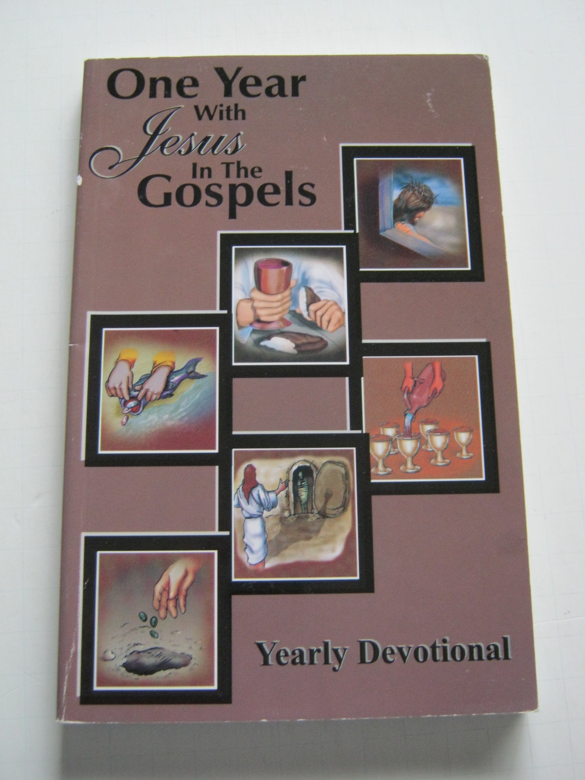 One Year With Jesus used book depot