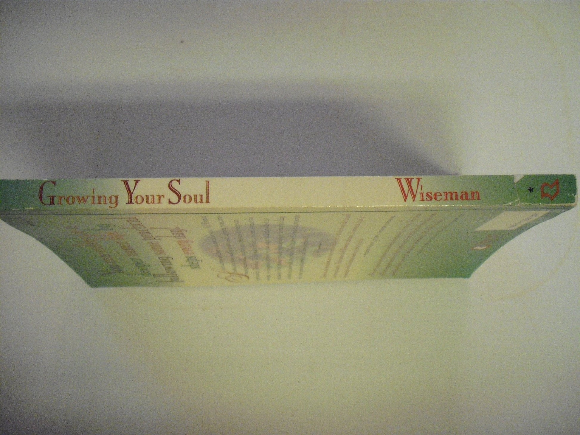Growing Your Soul : Practical Steps to Increase Your Spirituality used book depot