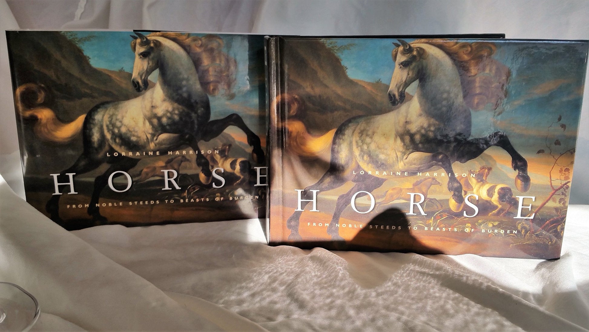 Horse: From Noble Steeds to Beasts of Burden used book depot