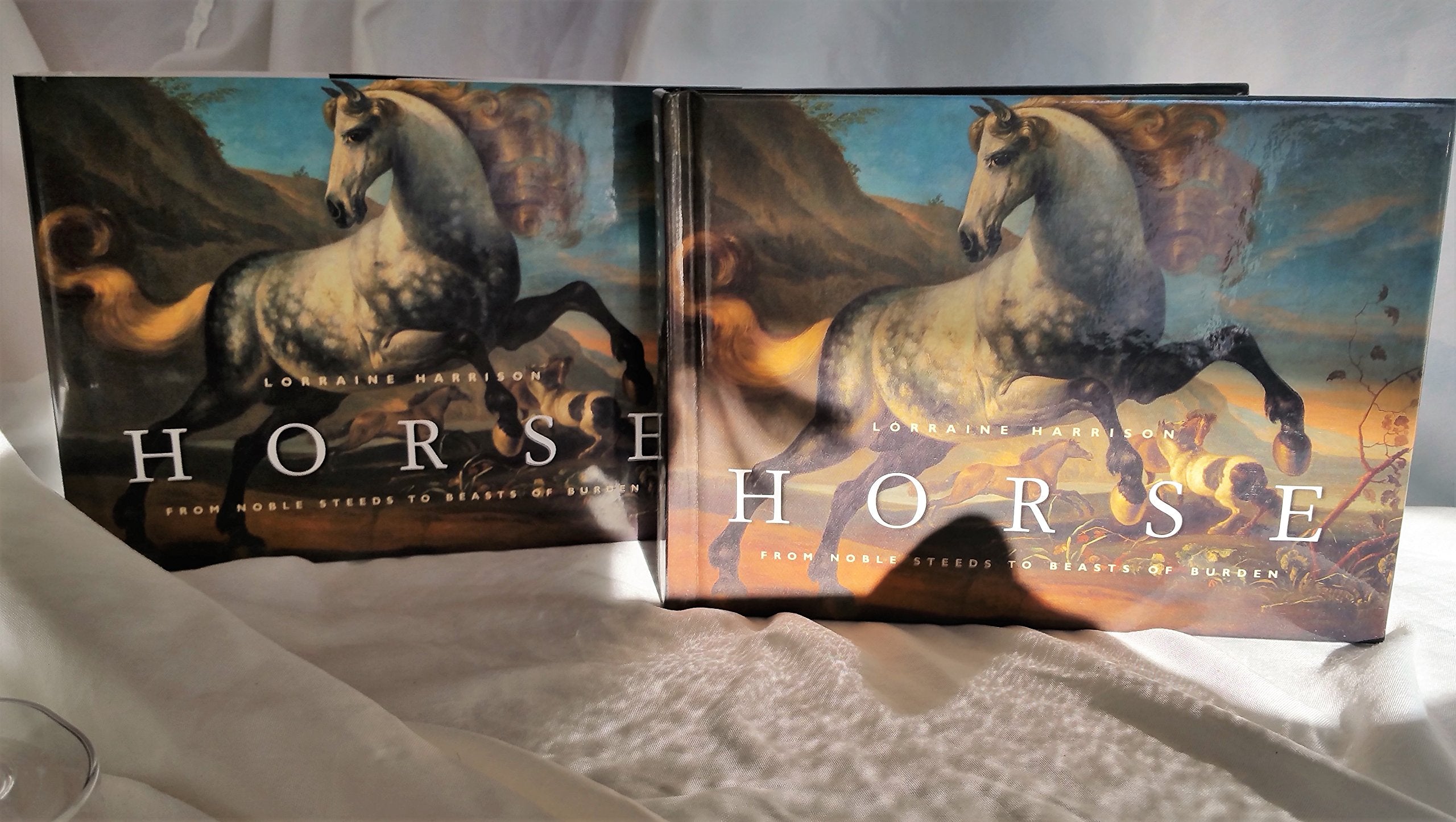 Horse: From Noble Steeds to Beasts of Burden used book depot