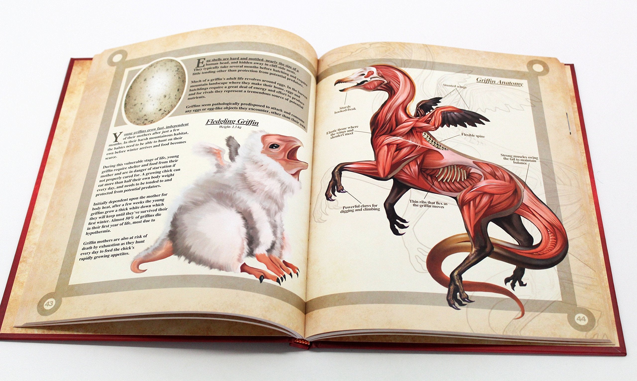 A Natural History of the Fantastic used book depot