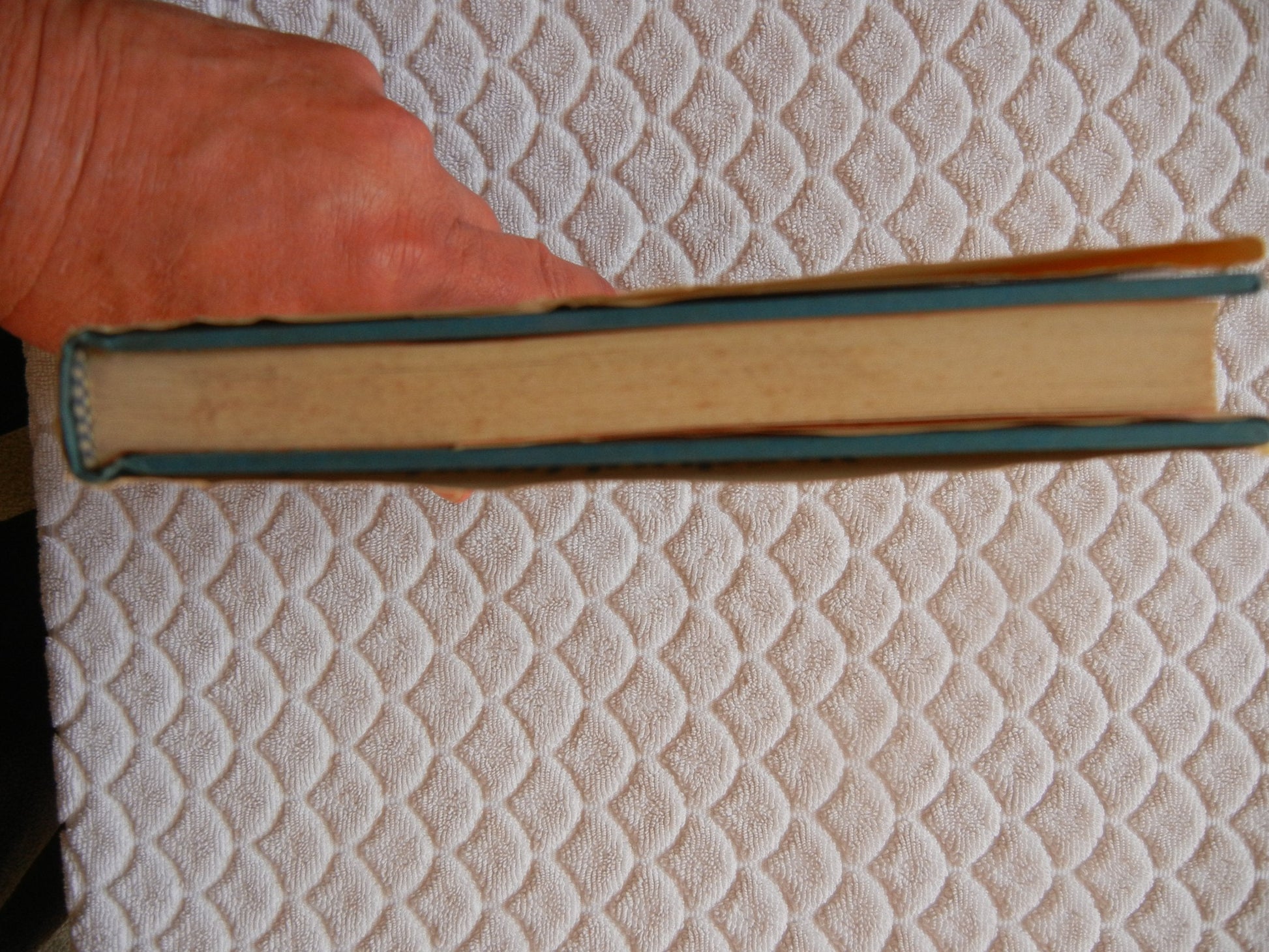 A Shepherd Looks At Psalm 23 used book depot