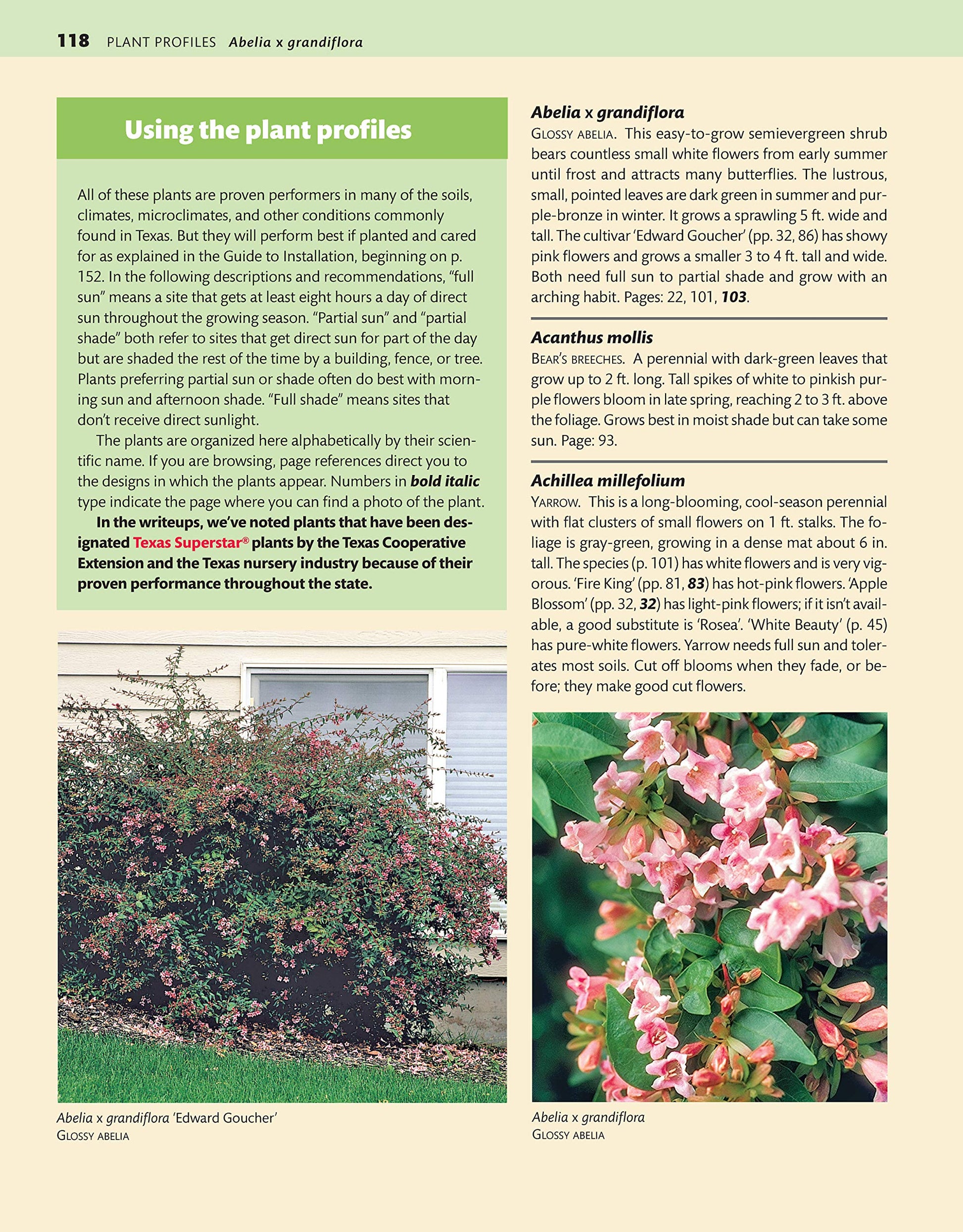 Texas Home Landscaping, 3rd Edition: 48 Landscape Designs, 200+ Plants & Flowers Best Suited to the Region (Creative Homeowner) Gardening Ideas, Plans, and Outdoor DIY Projects for TX and OK used book depot