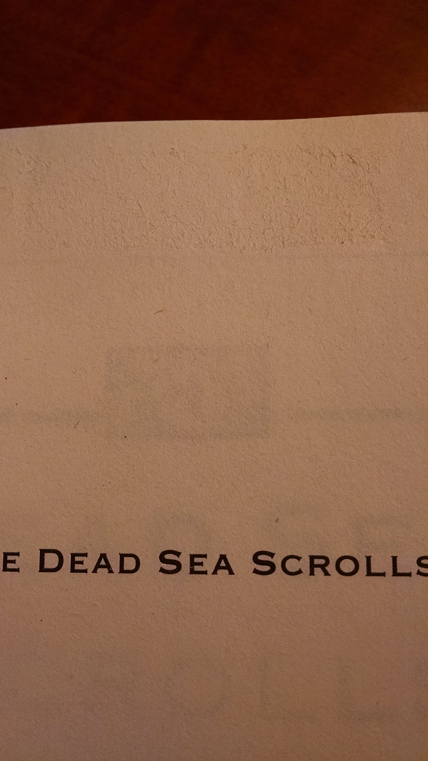 The Dead Sea Scrolls: A New Translation used book depot