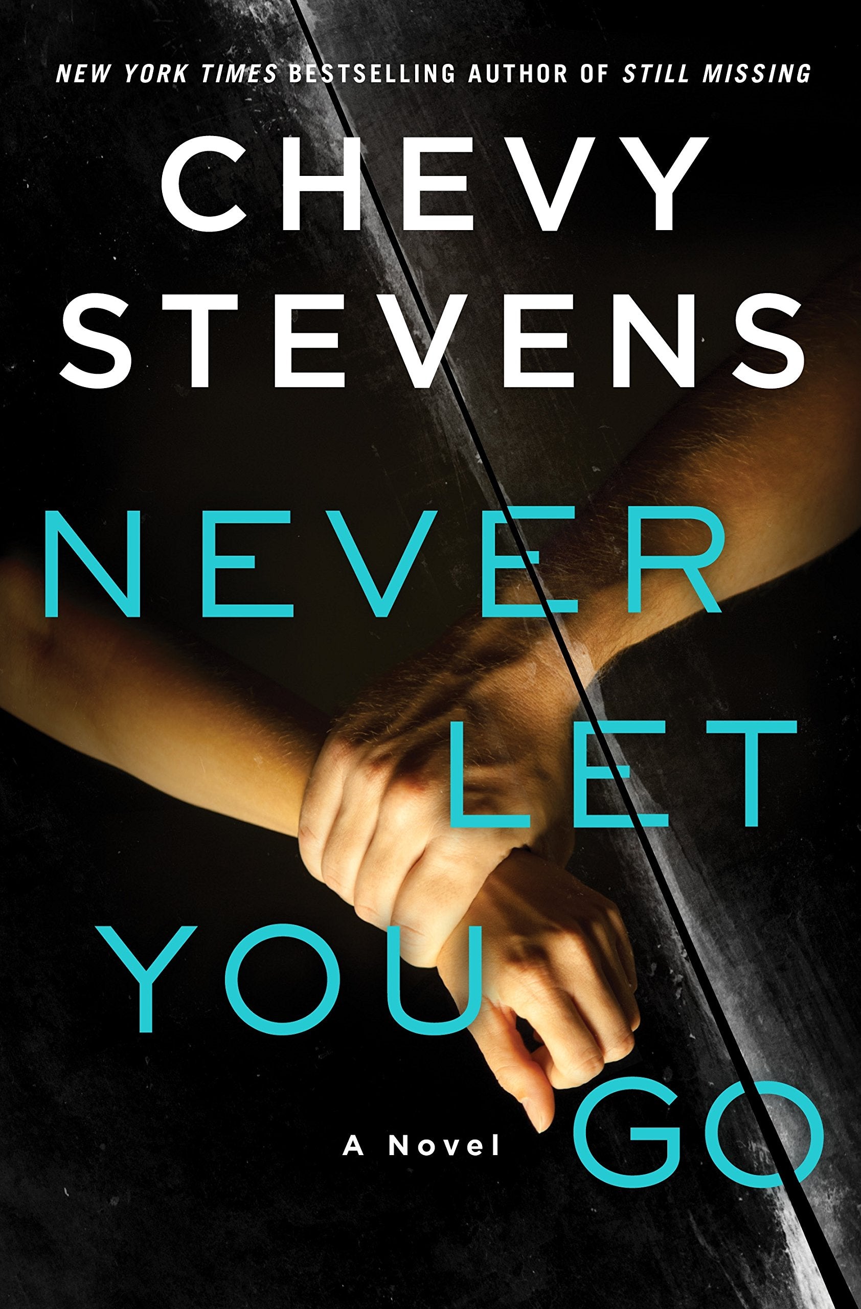 Never Let You Go: A Novel used book depot