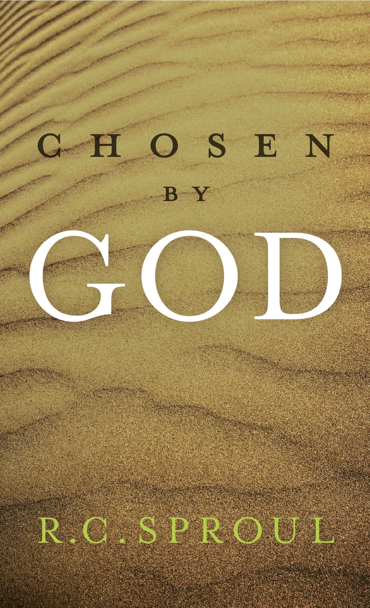 Chosen by God used book depot