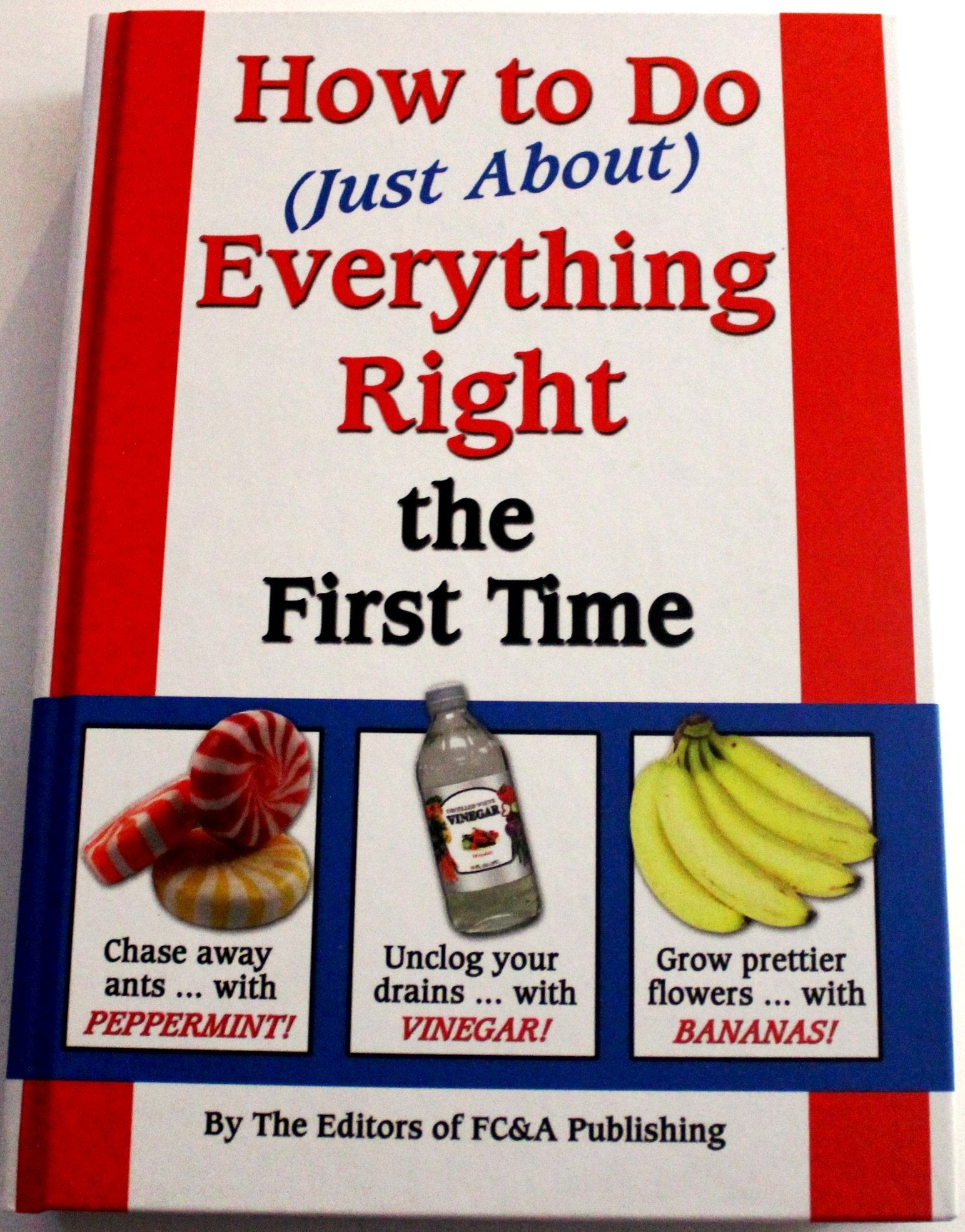 How To Do (Just About) Everything Right The First Time used book depot