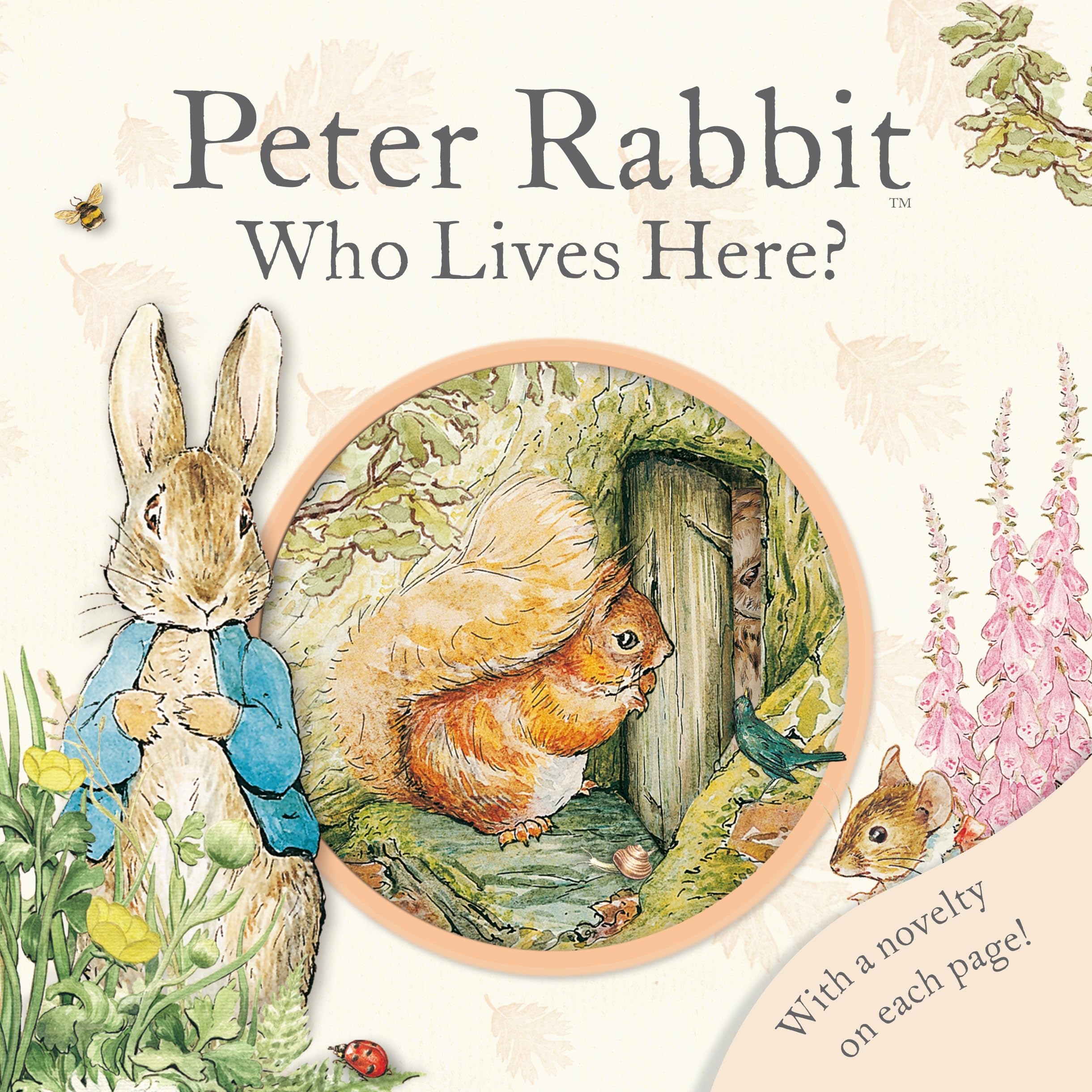 Peter Rabbit Who Lives Here? used book depot