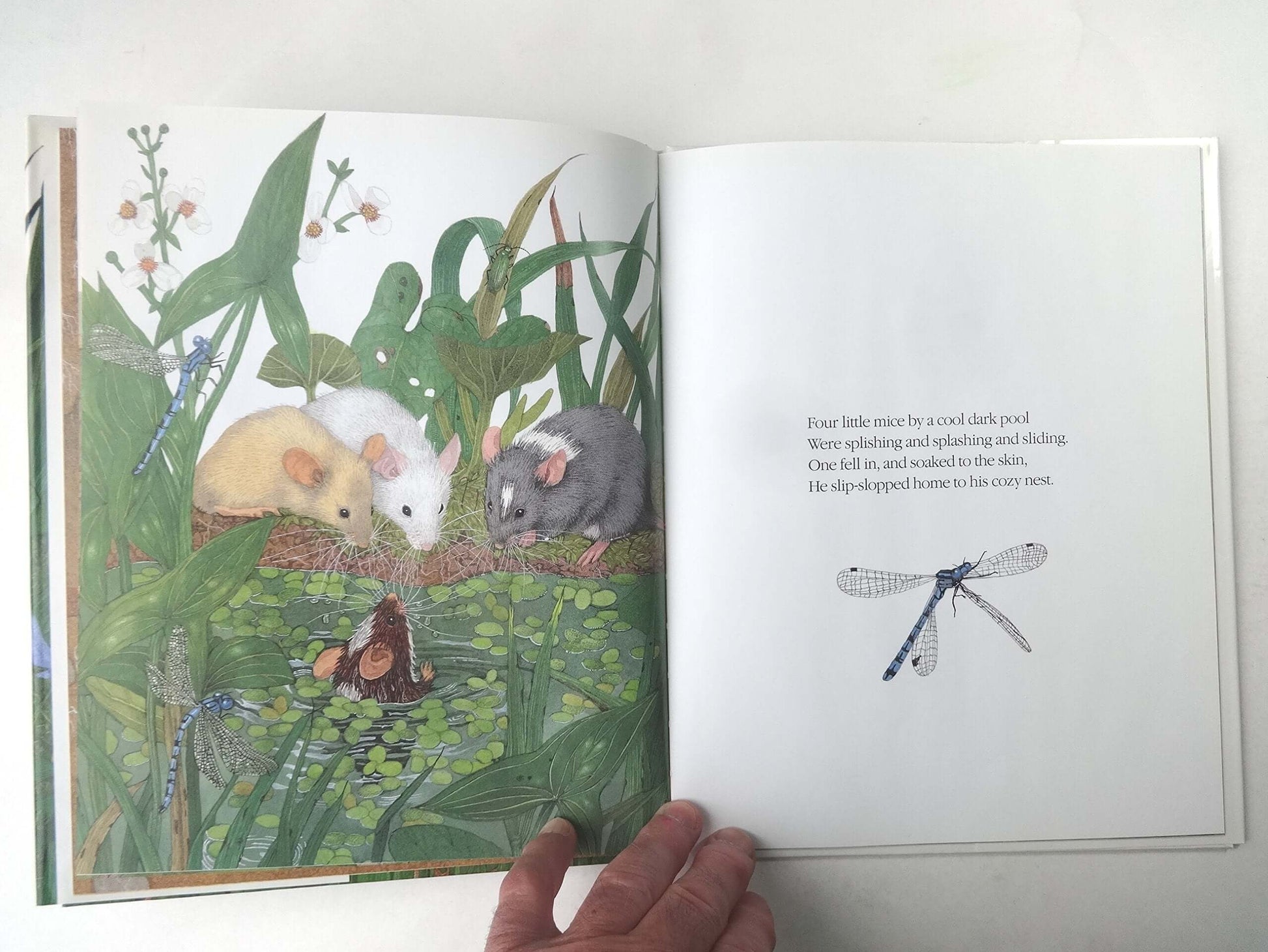 Ten Little Mice used book depot