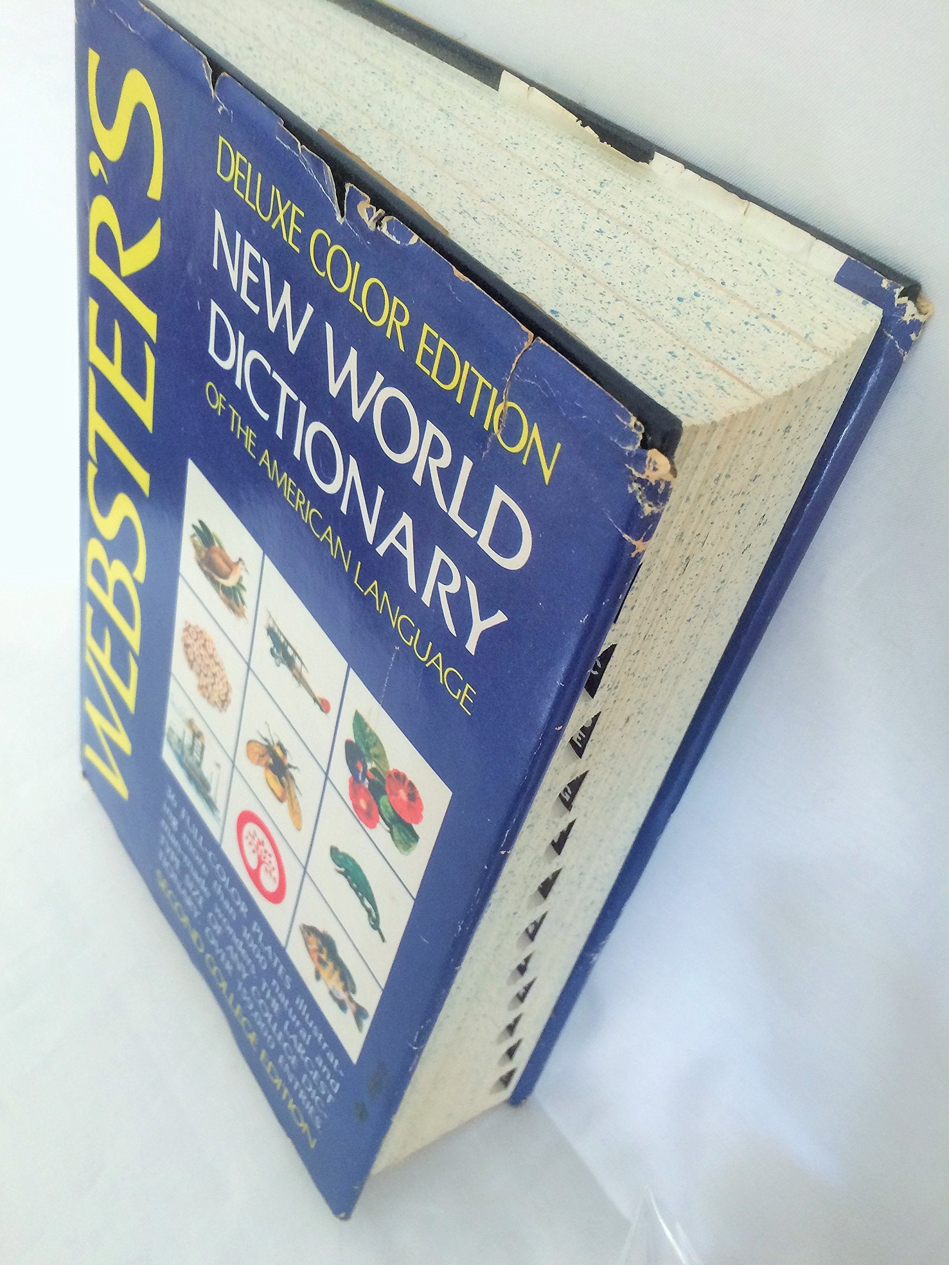Webster's New World dictionary of the American language