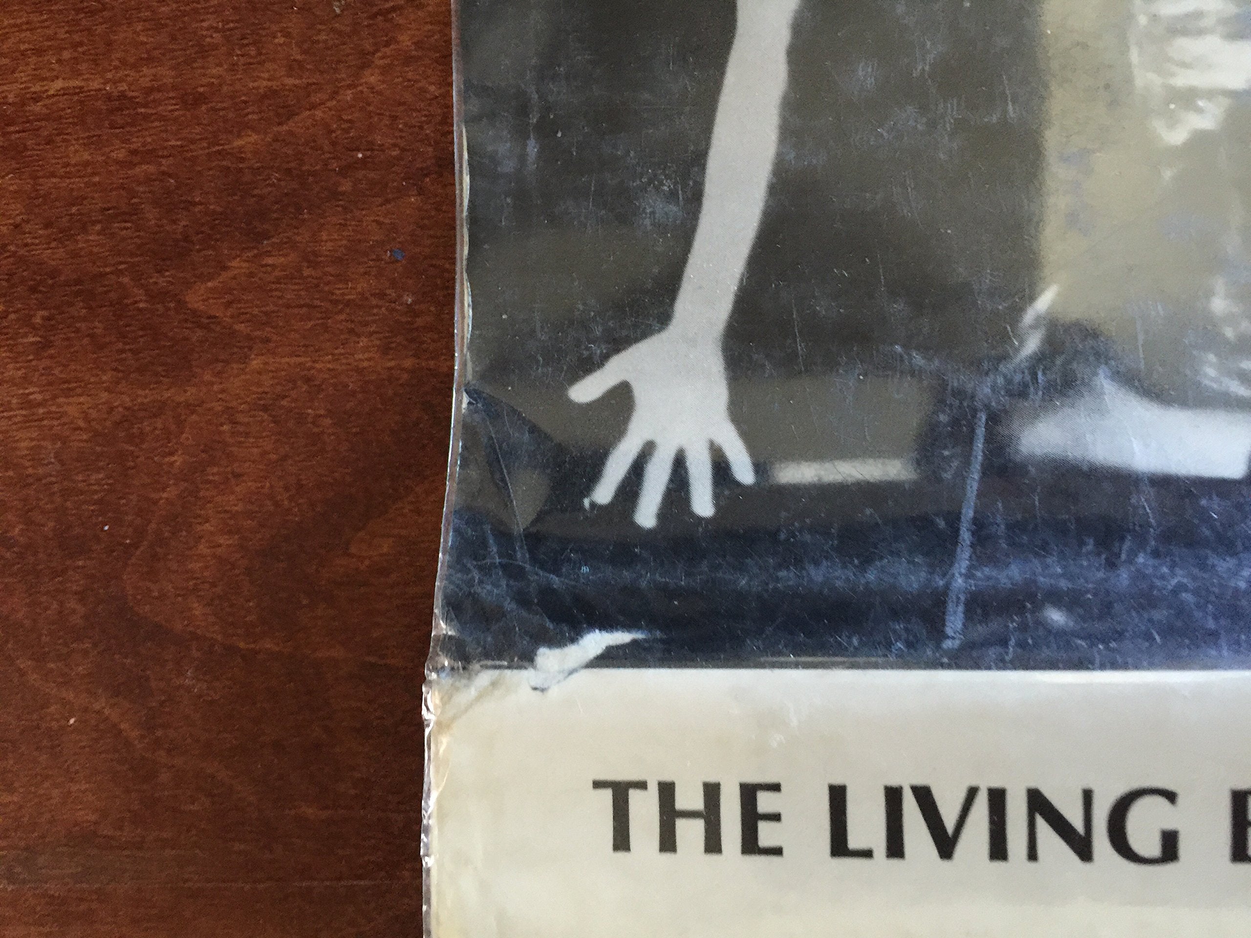 The Living Book of the Living Theatre used book depot