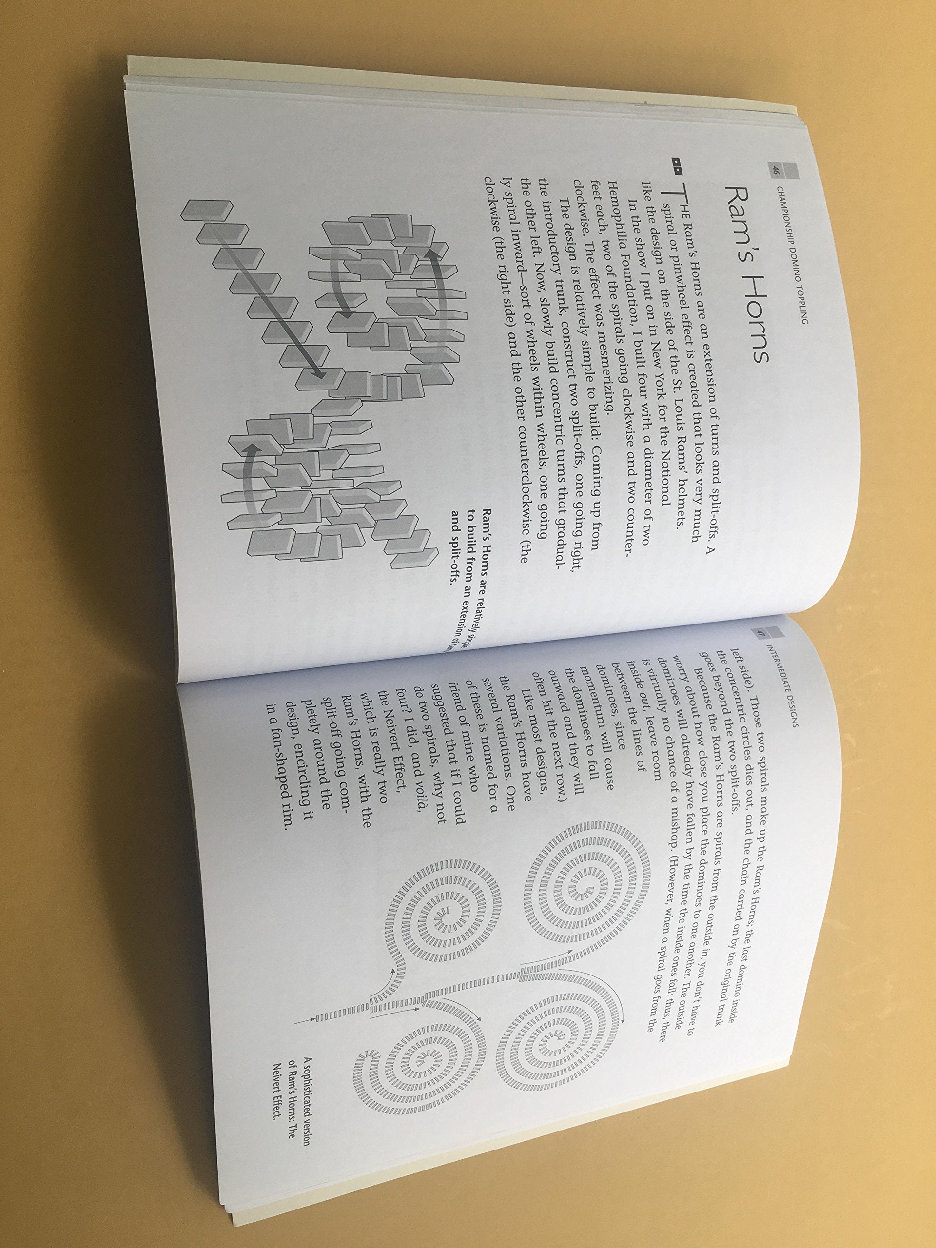 Championship Domino Toppling used book depot