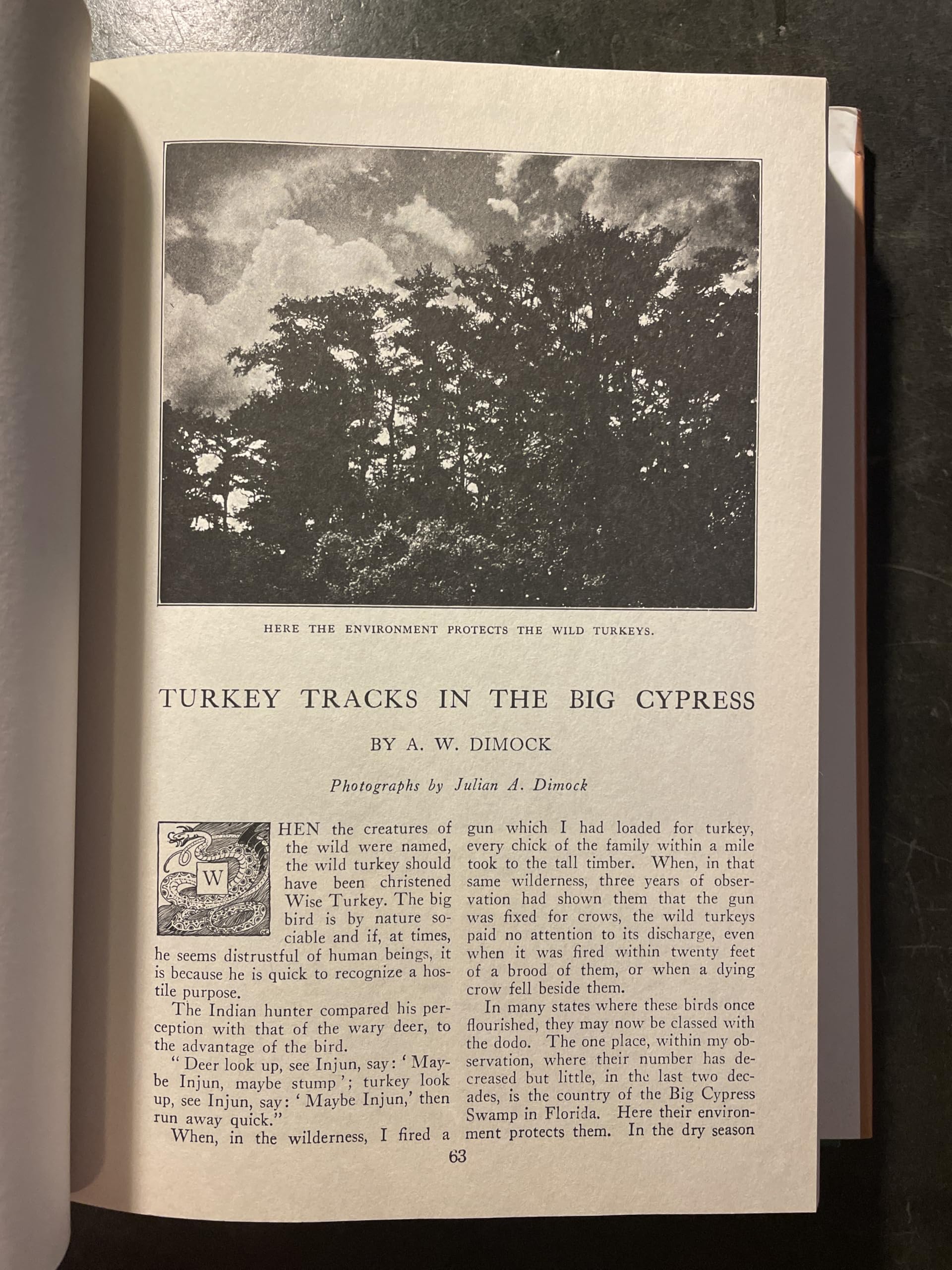 Tales of Old Florida used book depot
