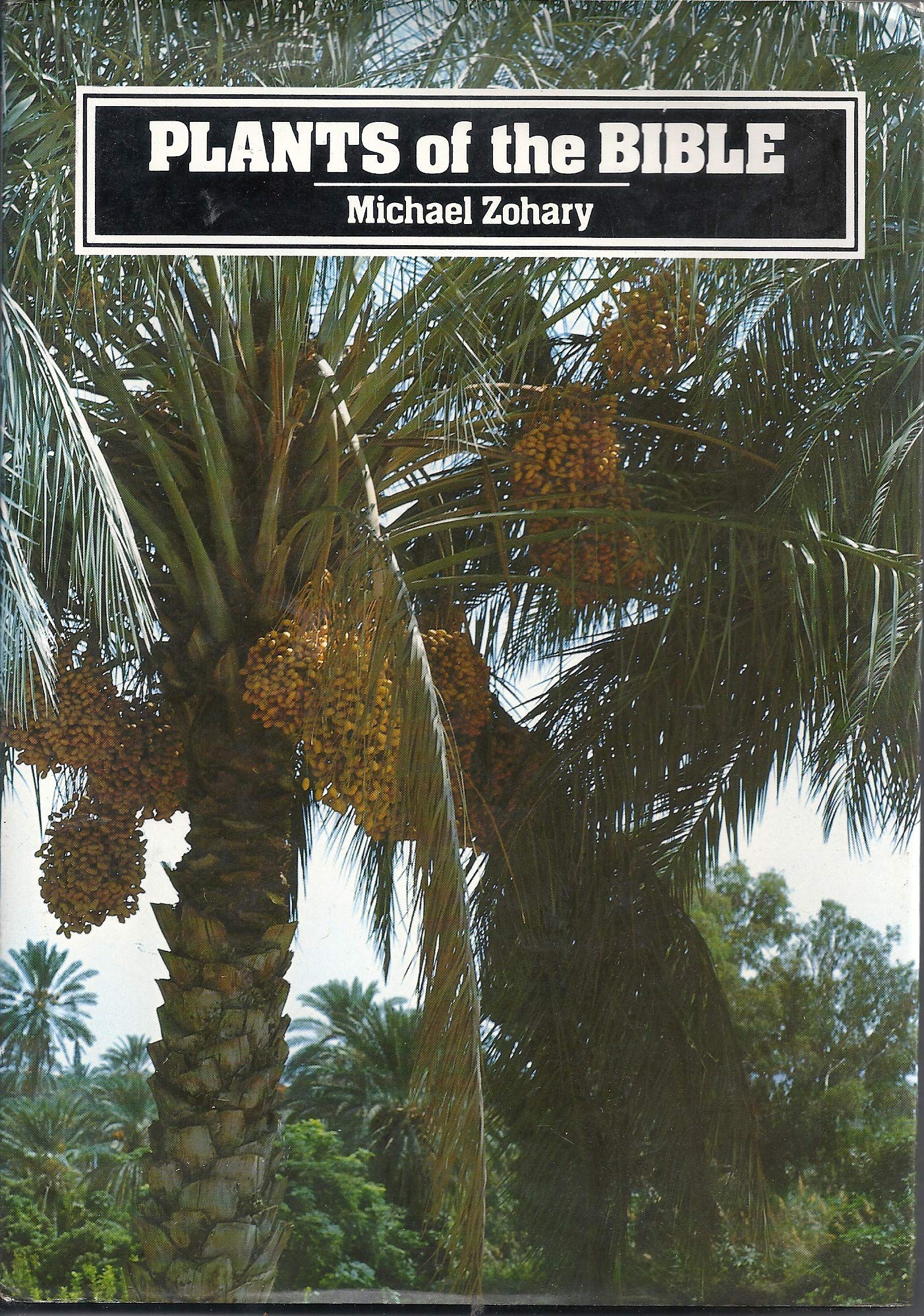 Plants of the Bible used book depot