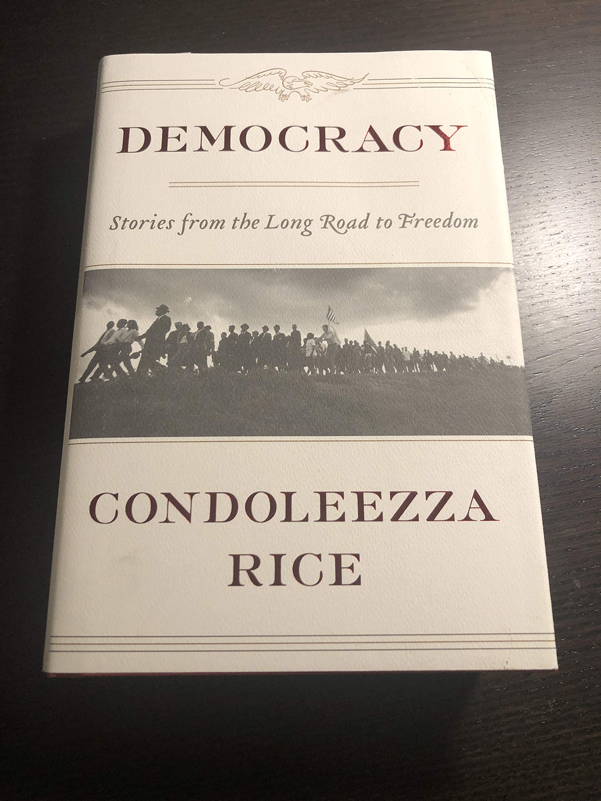 Democracy: Stories from the Long Road to Freedom used book depot
