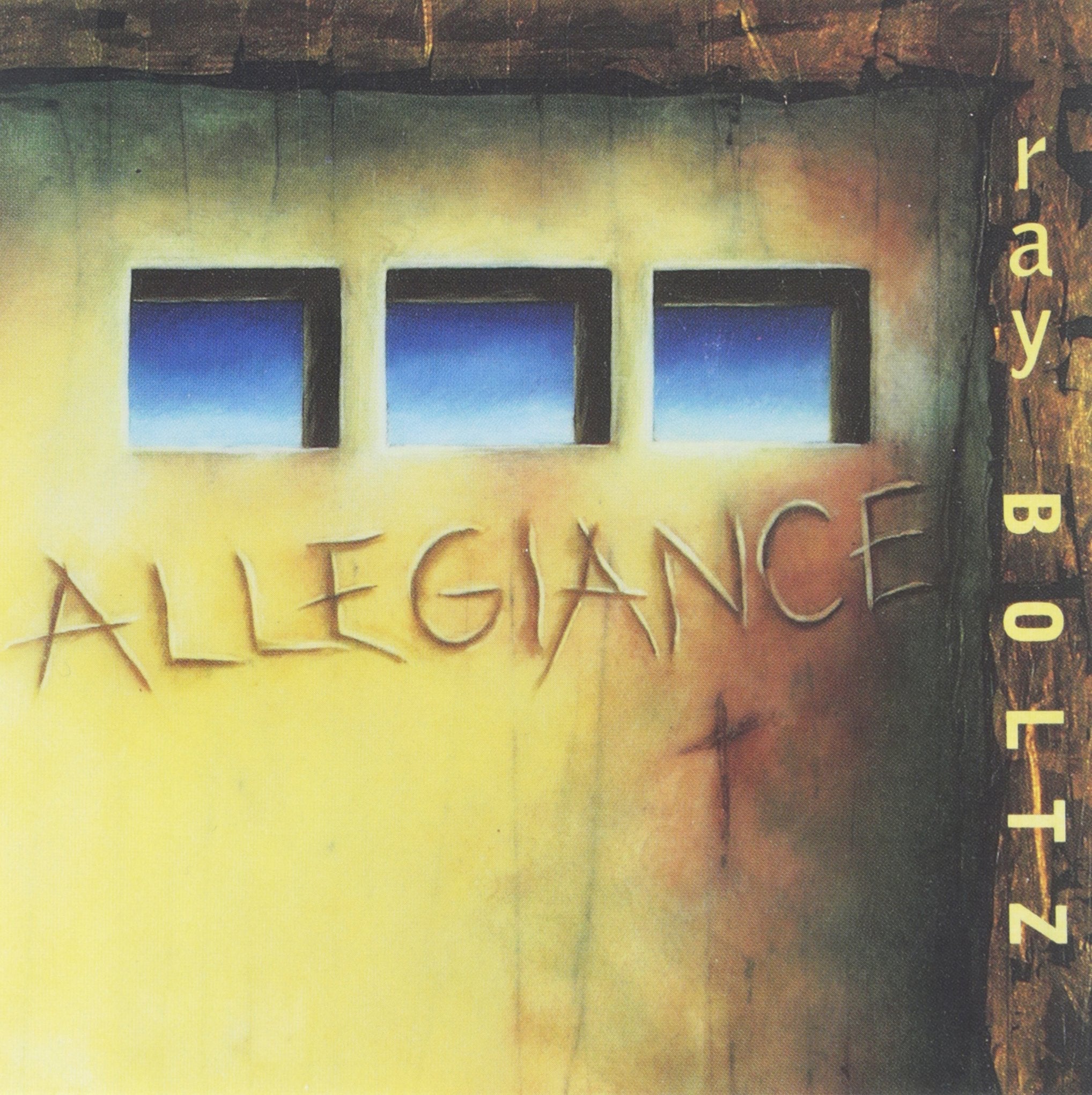 Allegiance used book depot