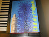Chihuly Projects