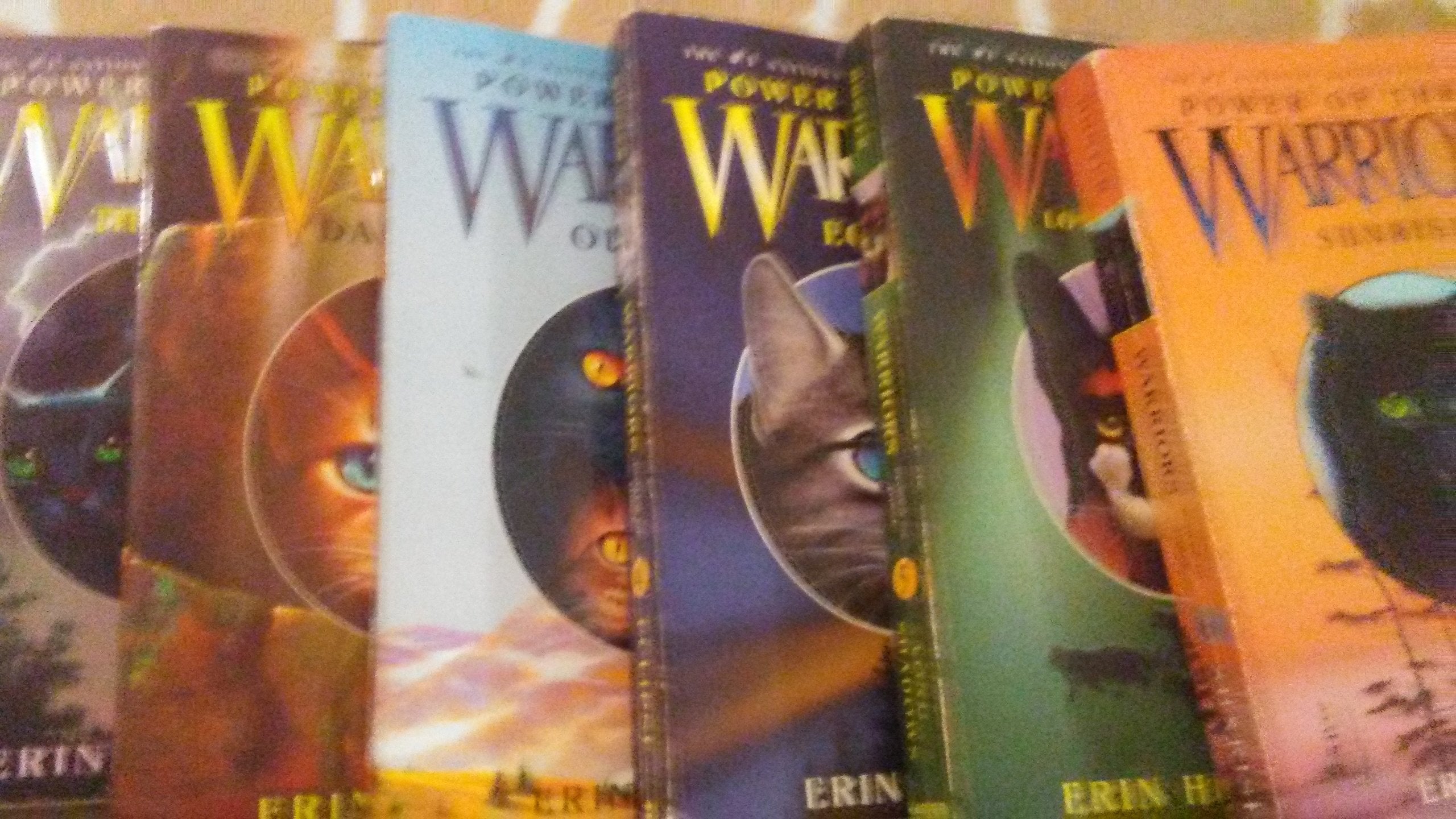 Sunrise (Warriors: Power of Three #6) used book depot