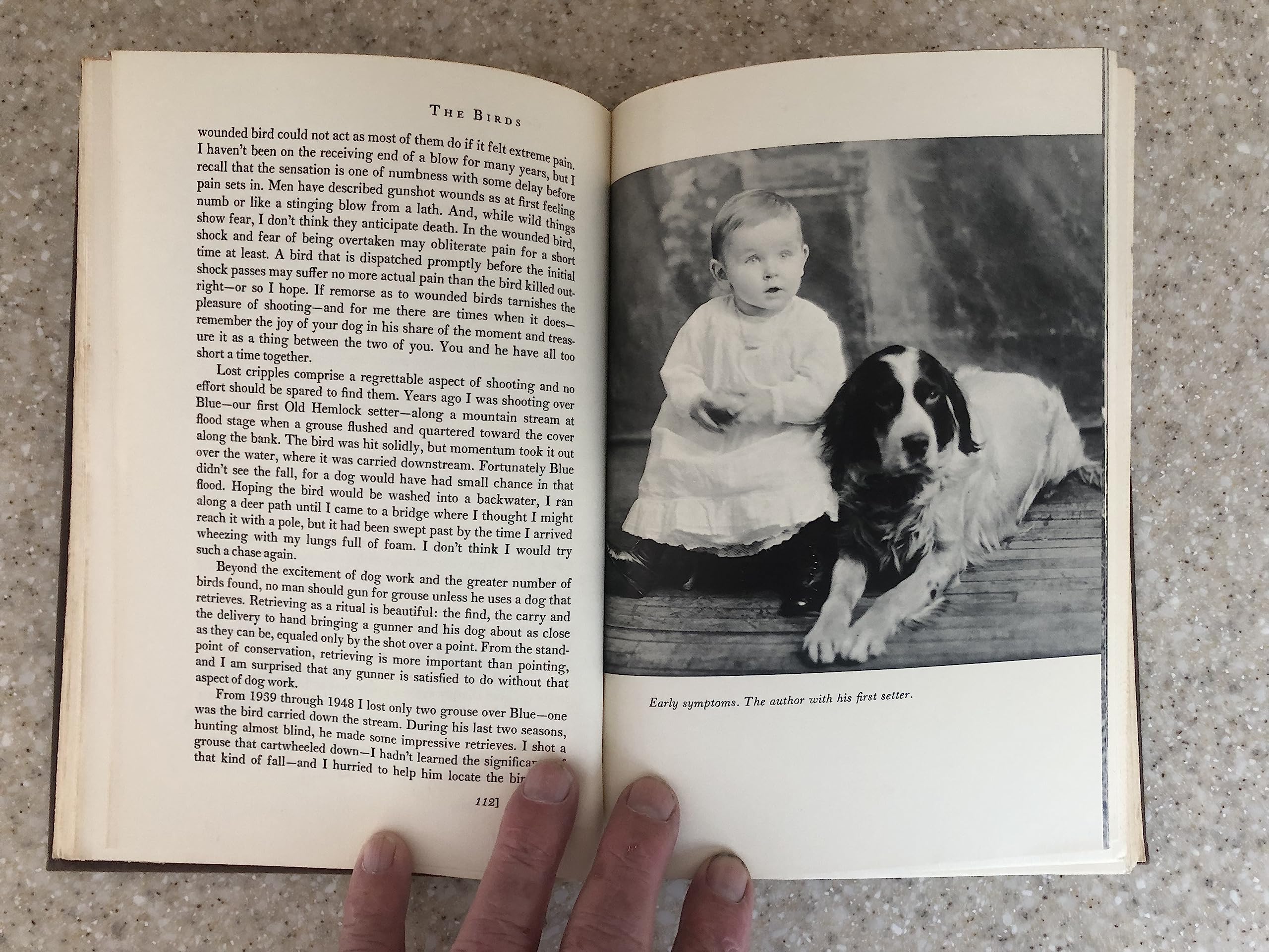 The Upland Shooting Life (1st Edition)